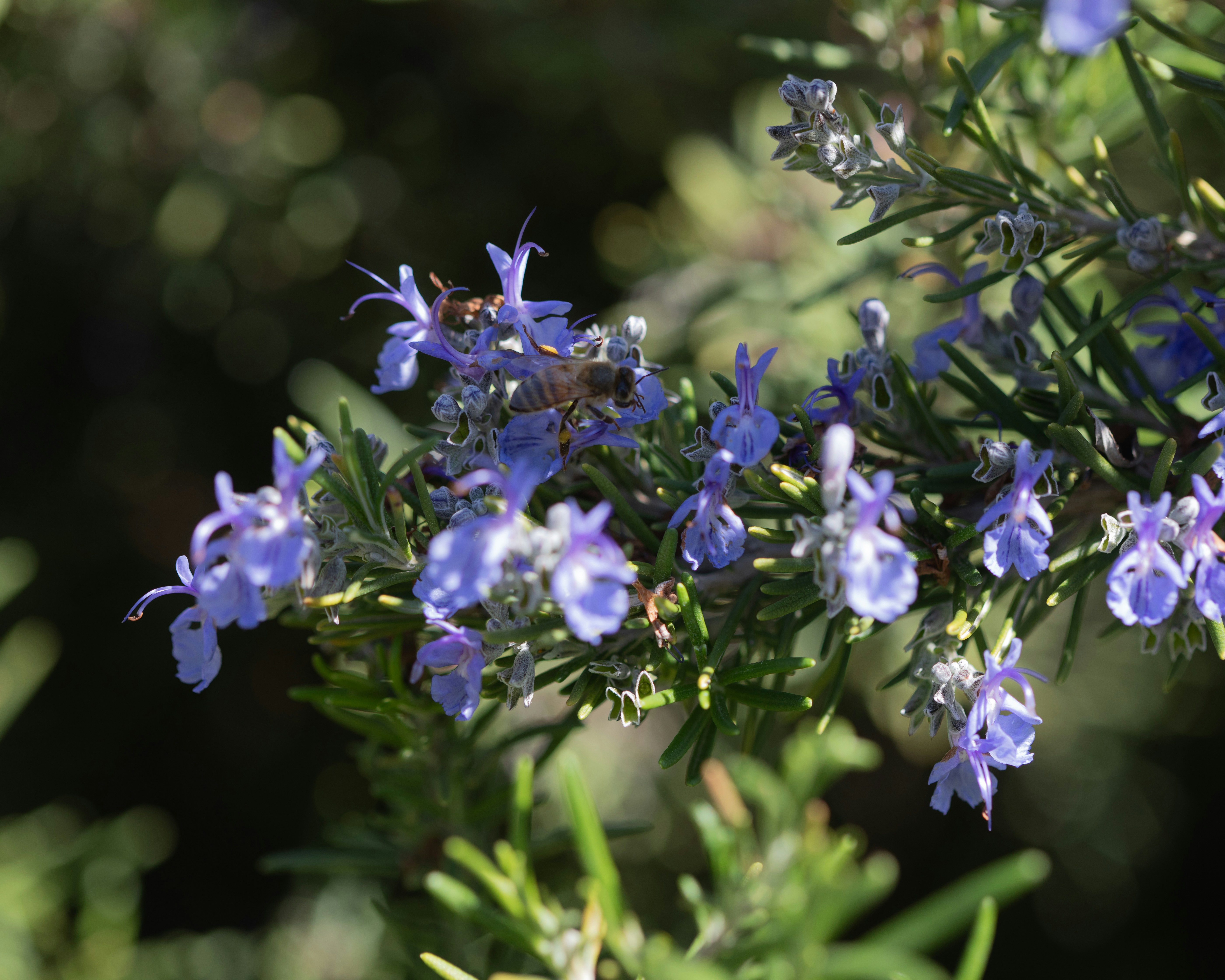 Photo by sixteenmilesout