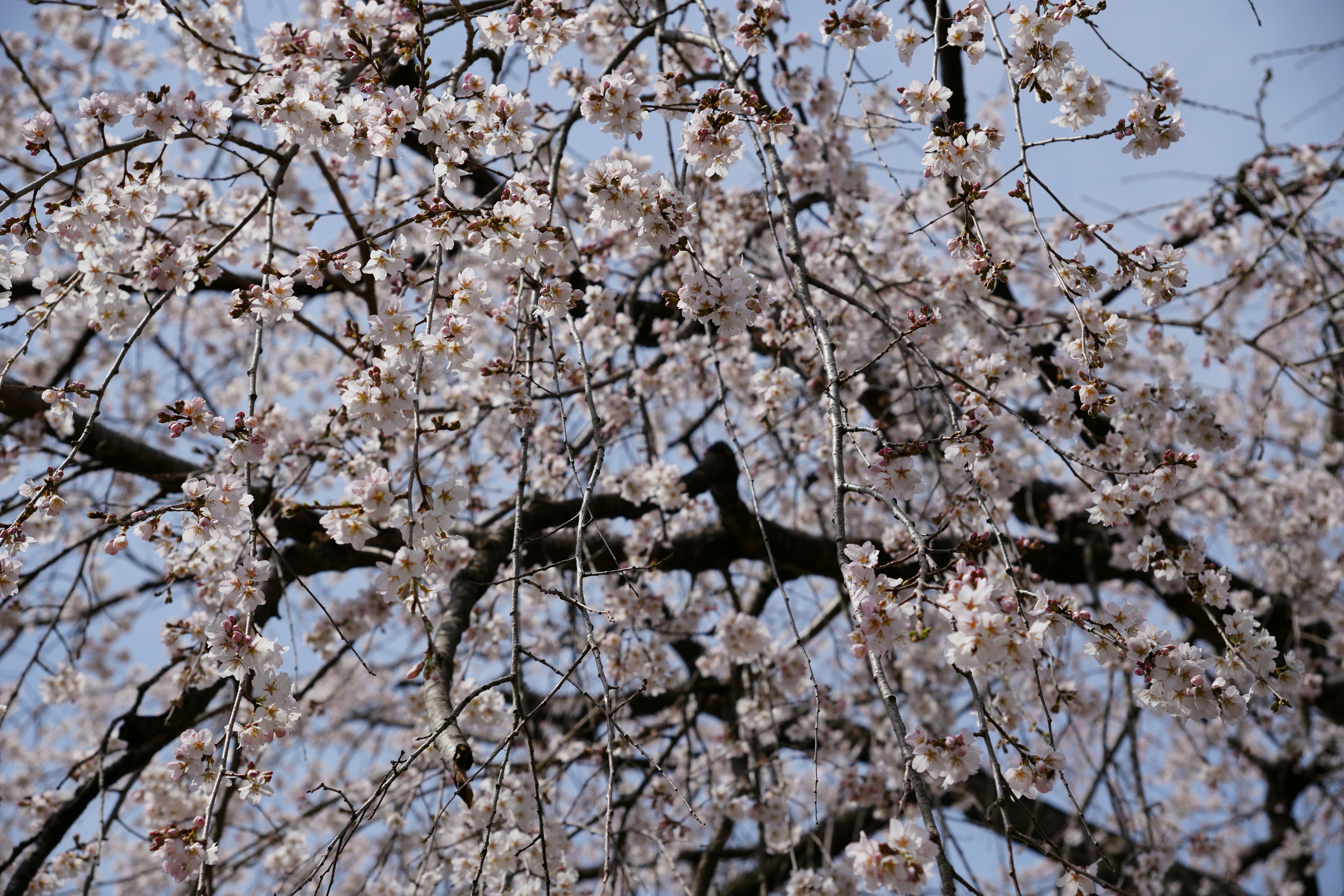 Photo by dm8ryphotos