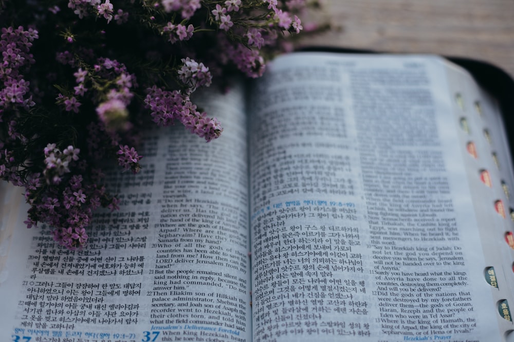 a book with a bunch of flowers on top of it