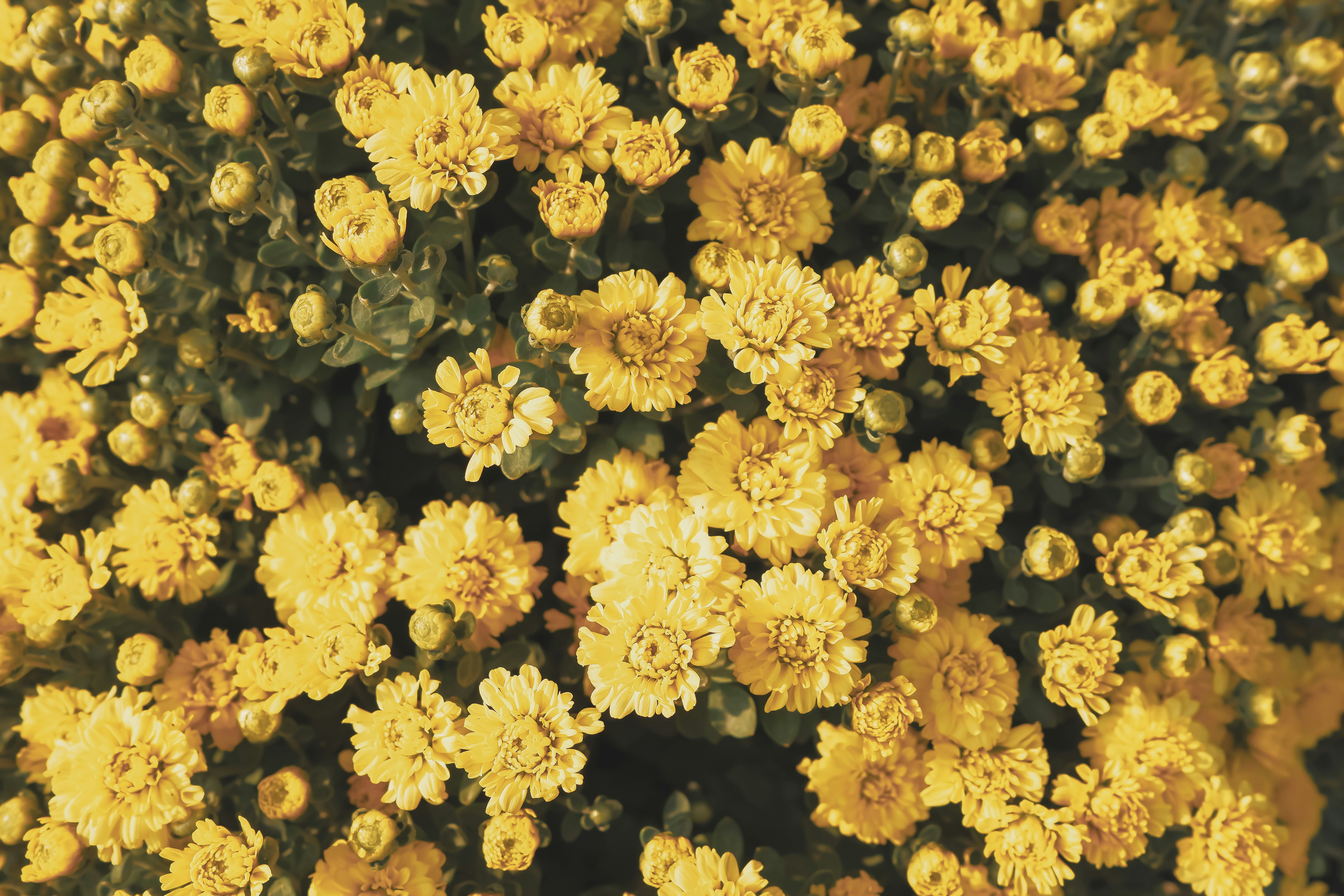 Photo by ryanduong94