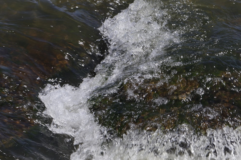 a close up of a stream of water