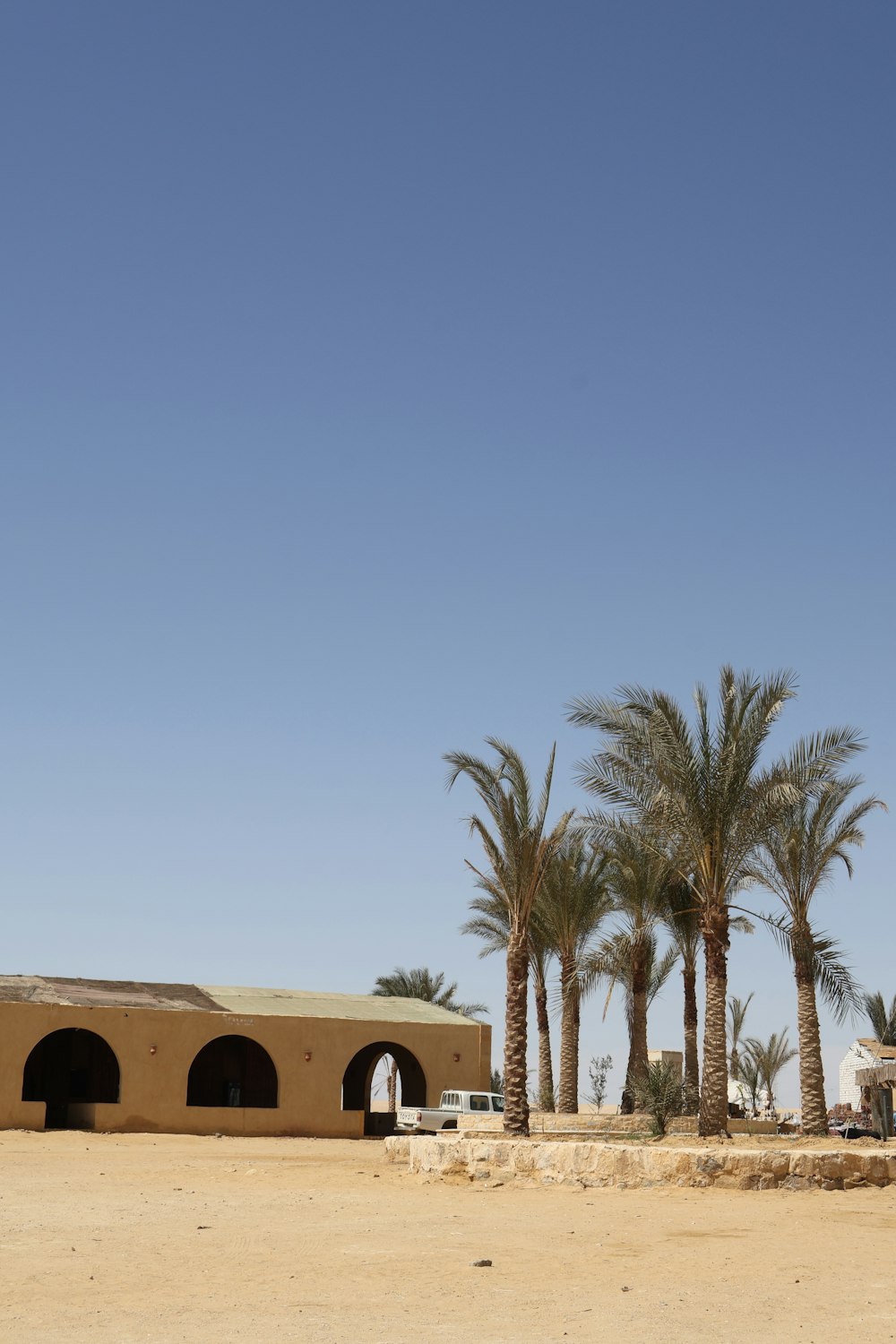 a desert area with palm trees and a building