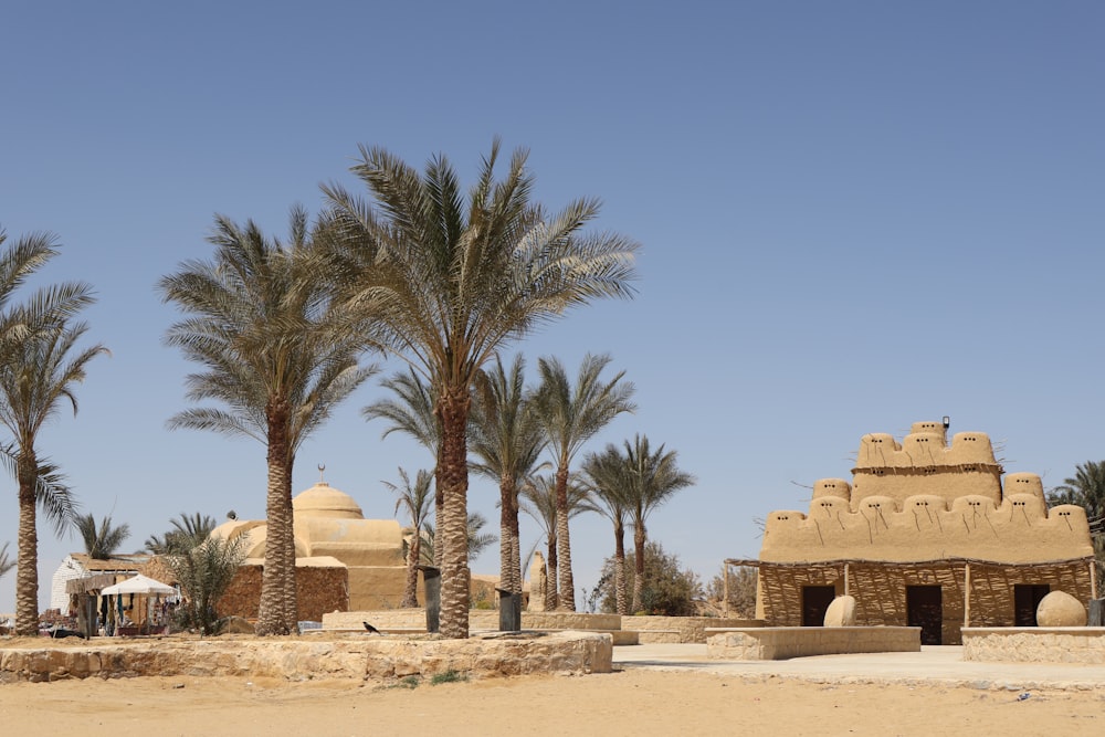 a desert with palm trees and a building