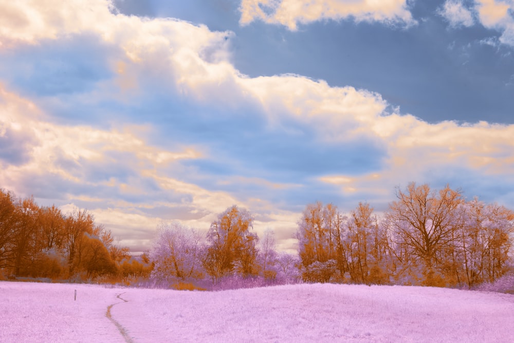 a pink field with trees and clouds in the background