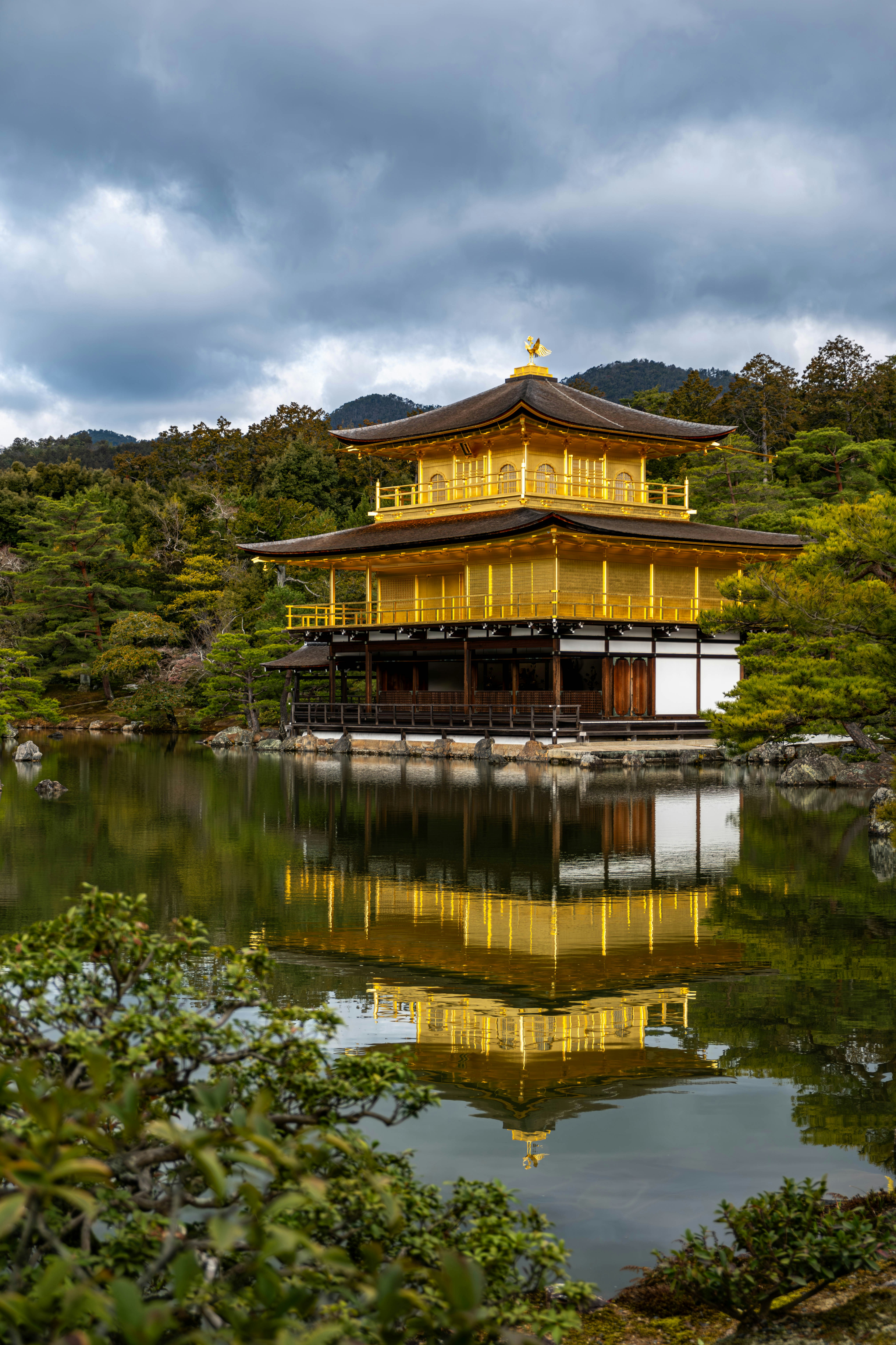 Photo by viviana_nysaether