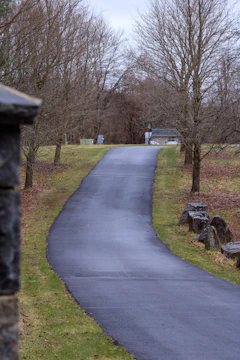 a paved road in the middle of a park