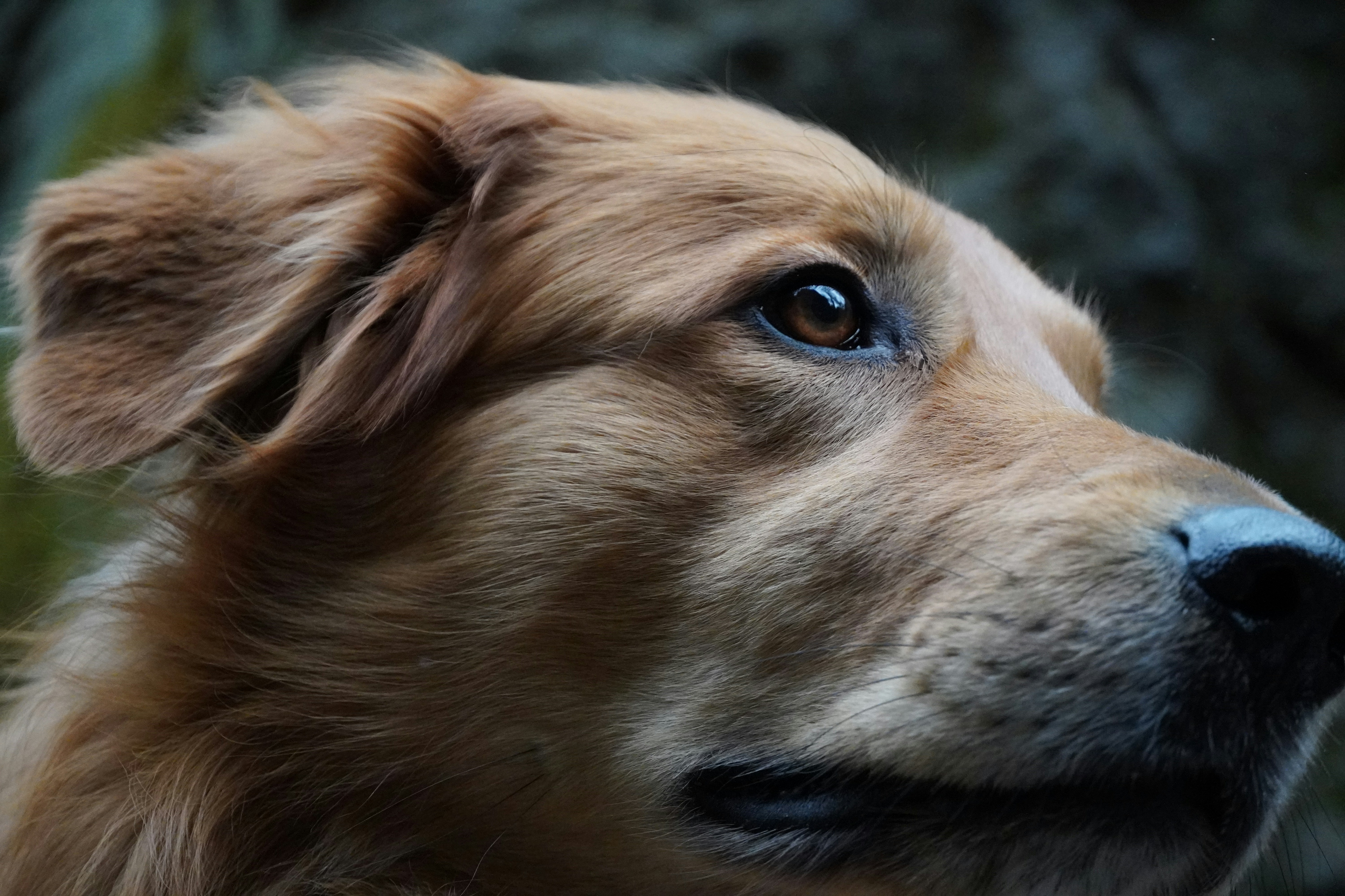 Photo by theodor_jacob