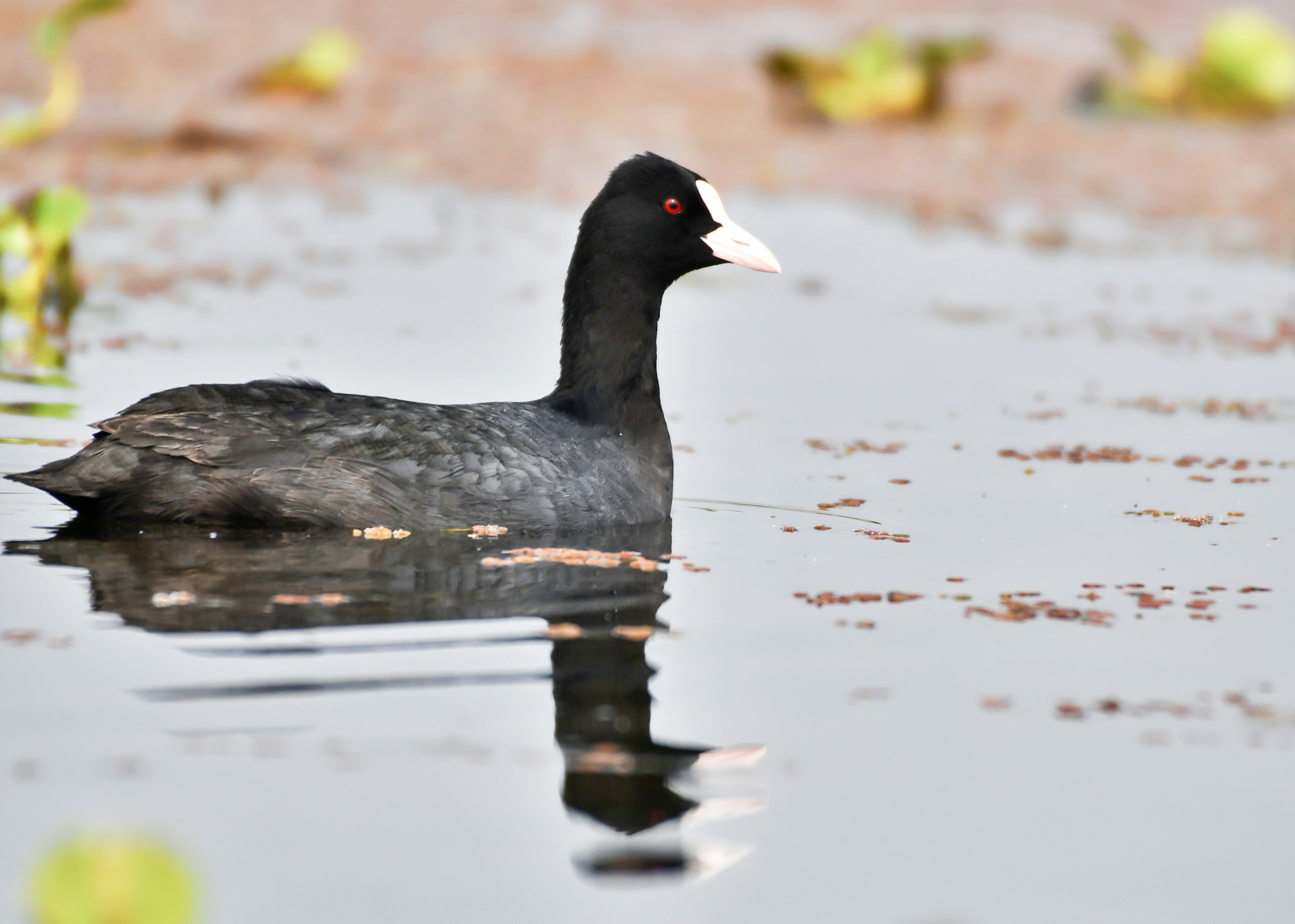 Photo by mhphotography13