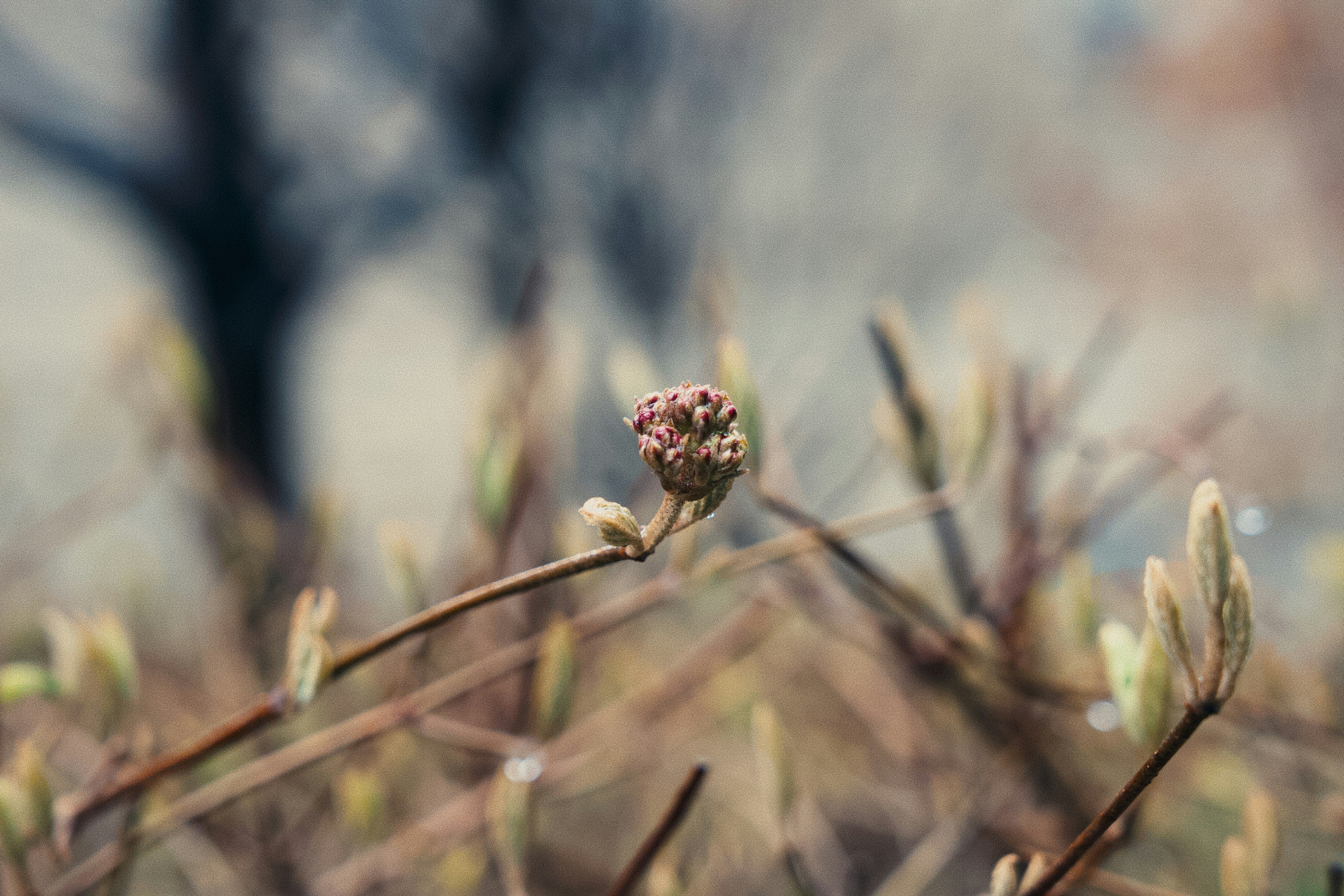 Photo by ycbrphotography