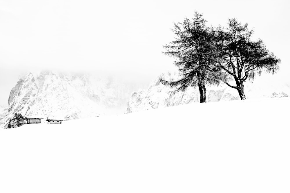 a black and white photo of a snow covered hill