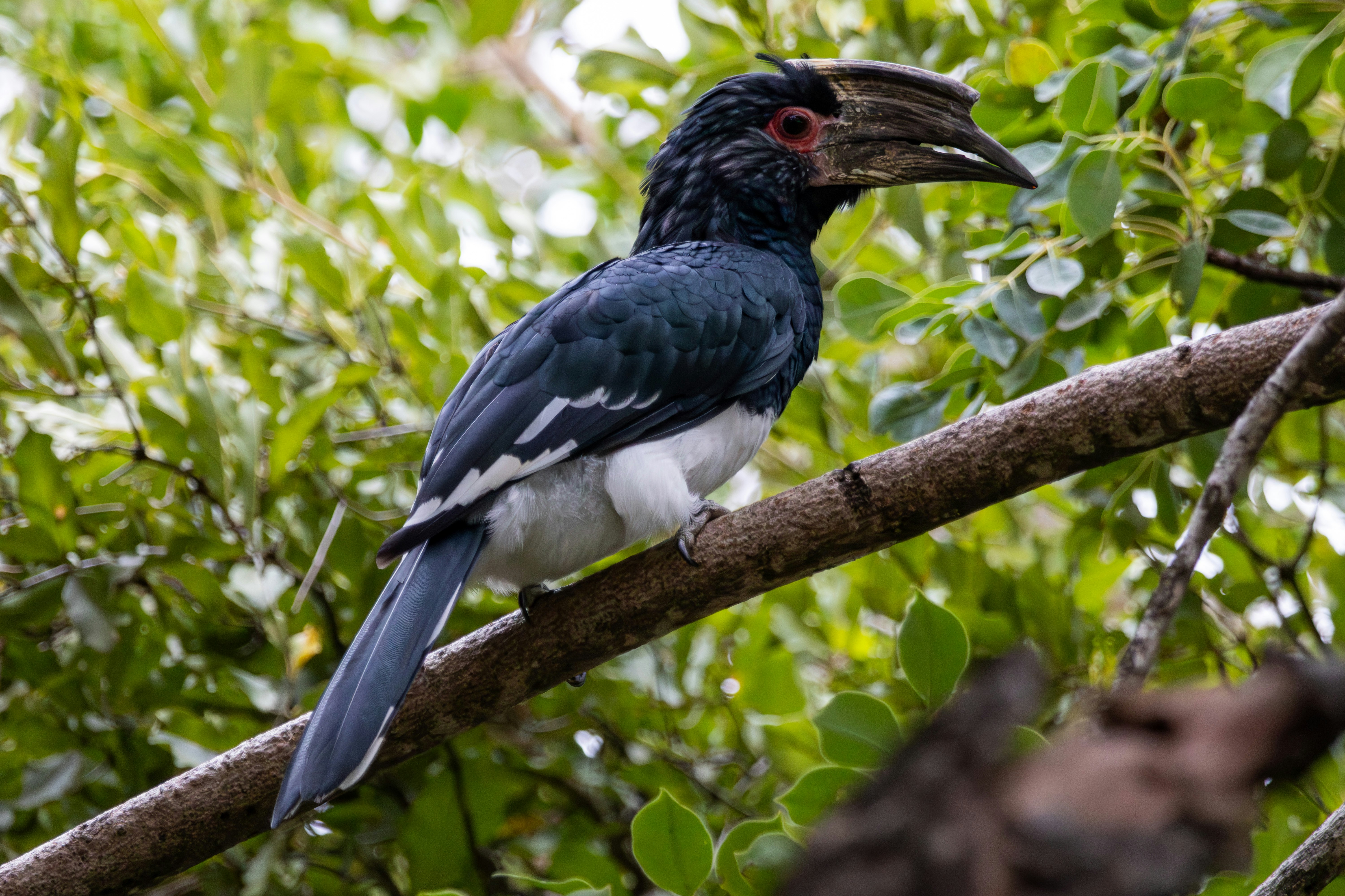 Photo by hendrikprinsza