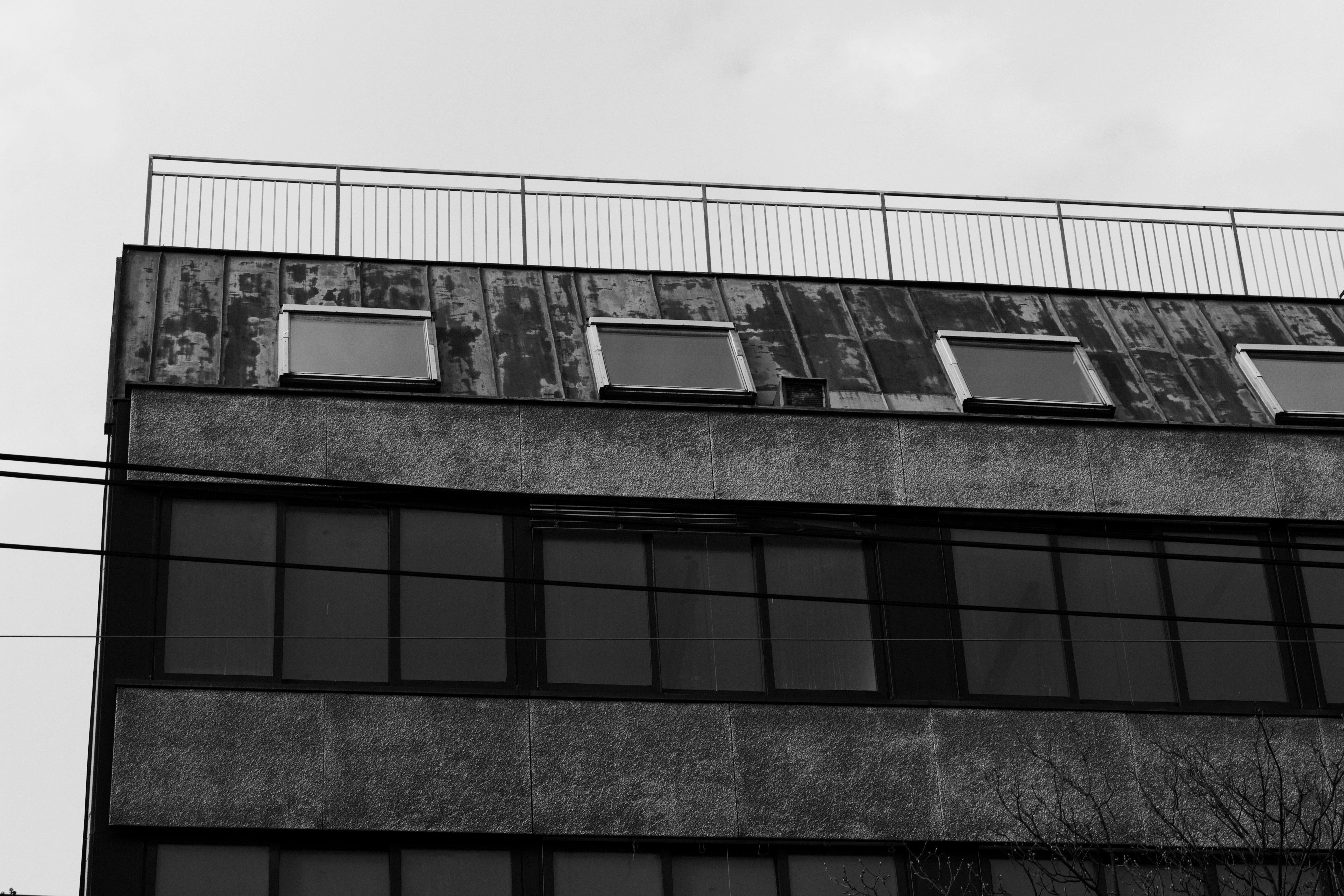 Photo by melloophotography