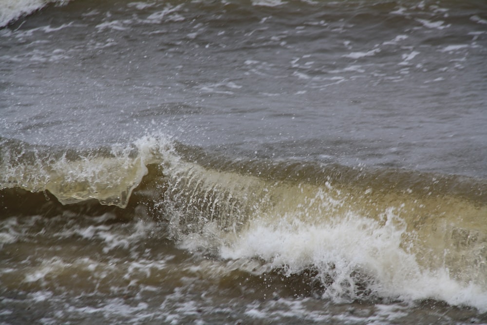 a wave crashes into the shore of the ocean