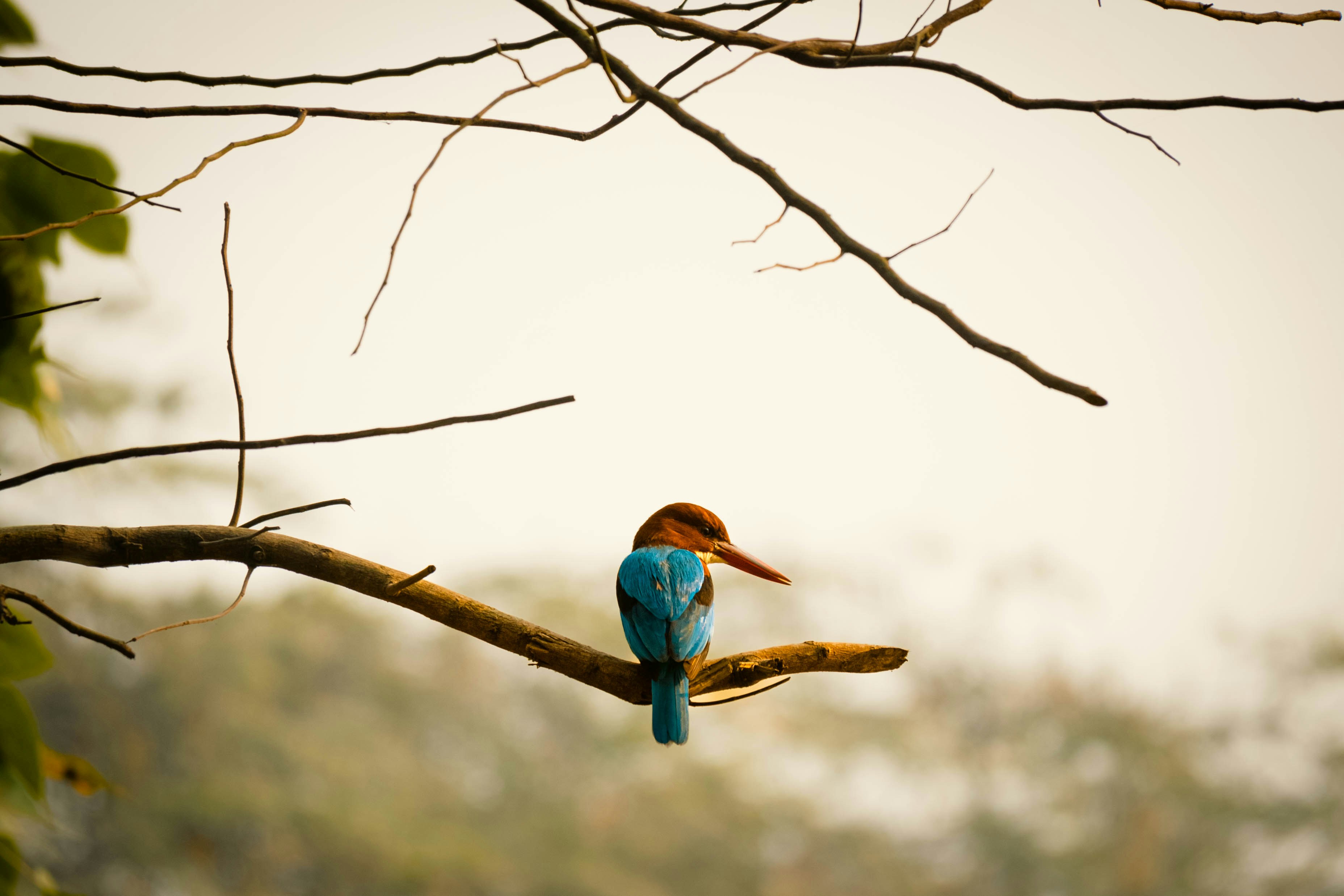 Photo by faheem_2911