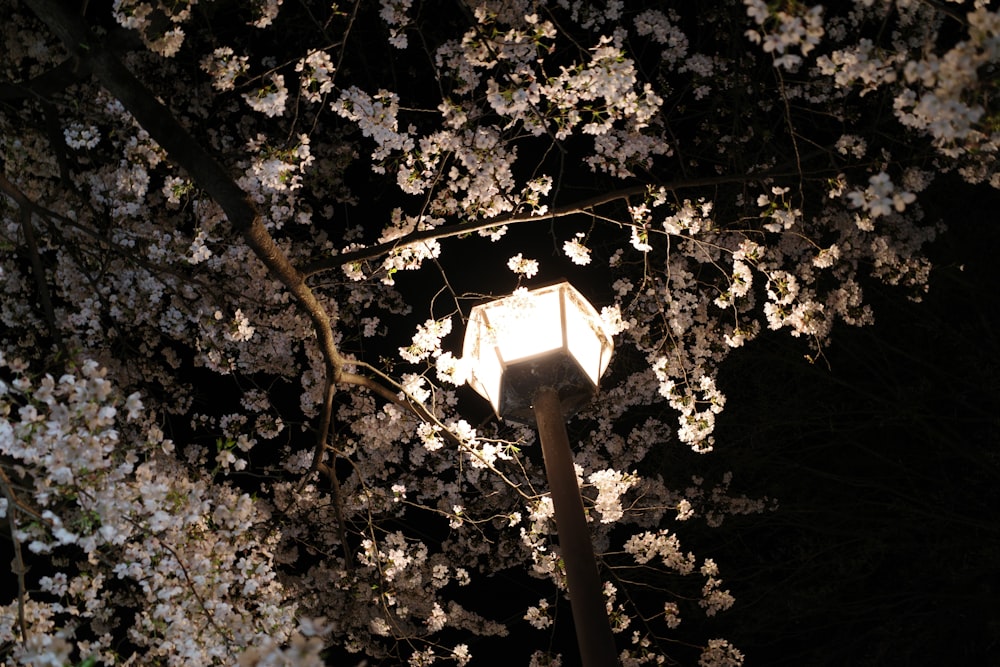 a street light surrounded by blossoming trees at night