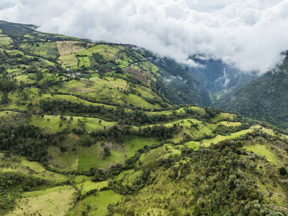 a lush green hillside covered in trees and clouds