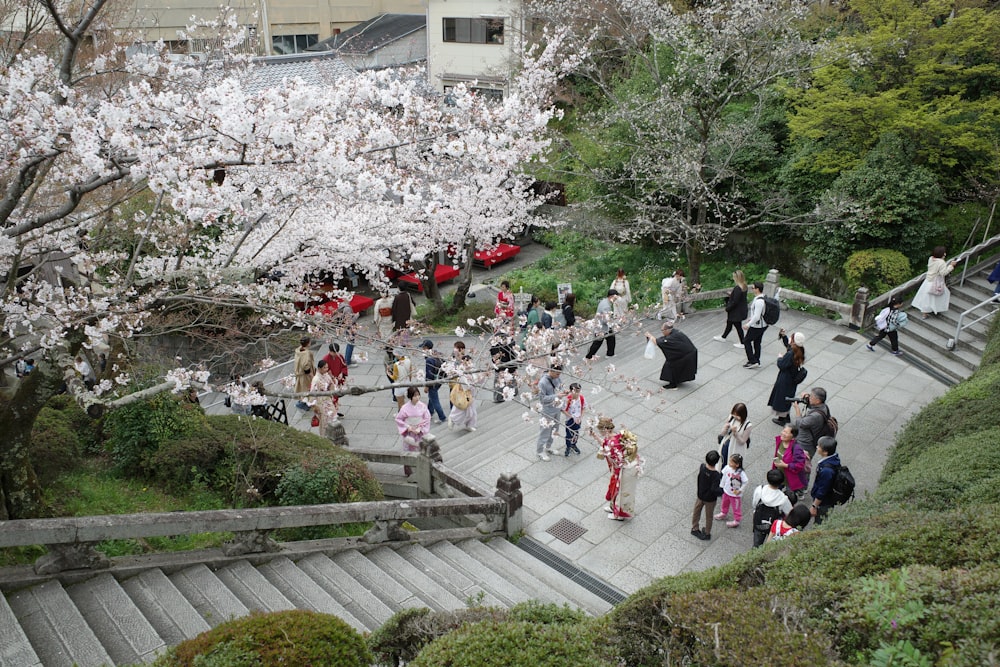 a group of people walking down a street next to a tree