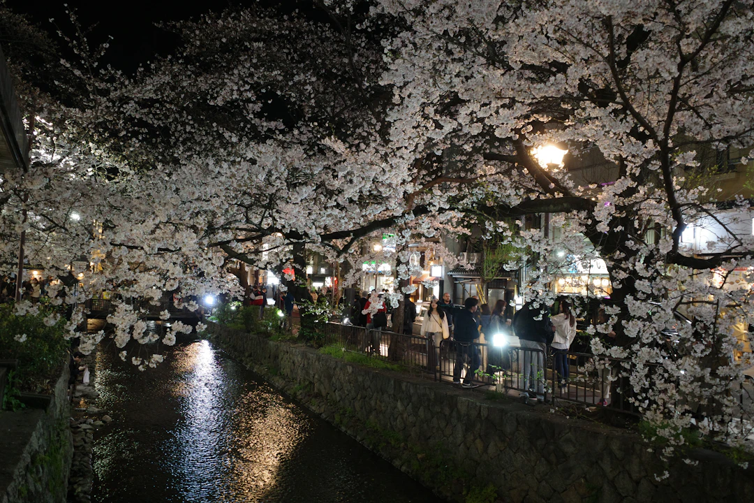 10-Day Northern Asia Family Capital Tour | Japan, Korea, China