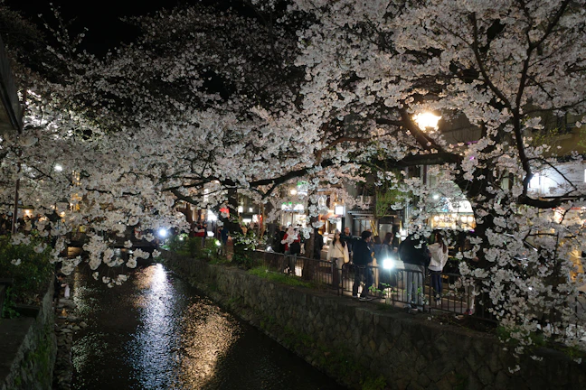10-Day Northern Asia Family Capital Tour | Japan, Korea, China
