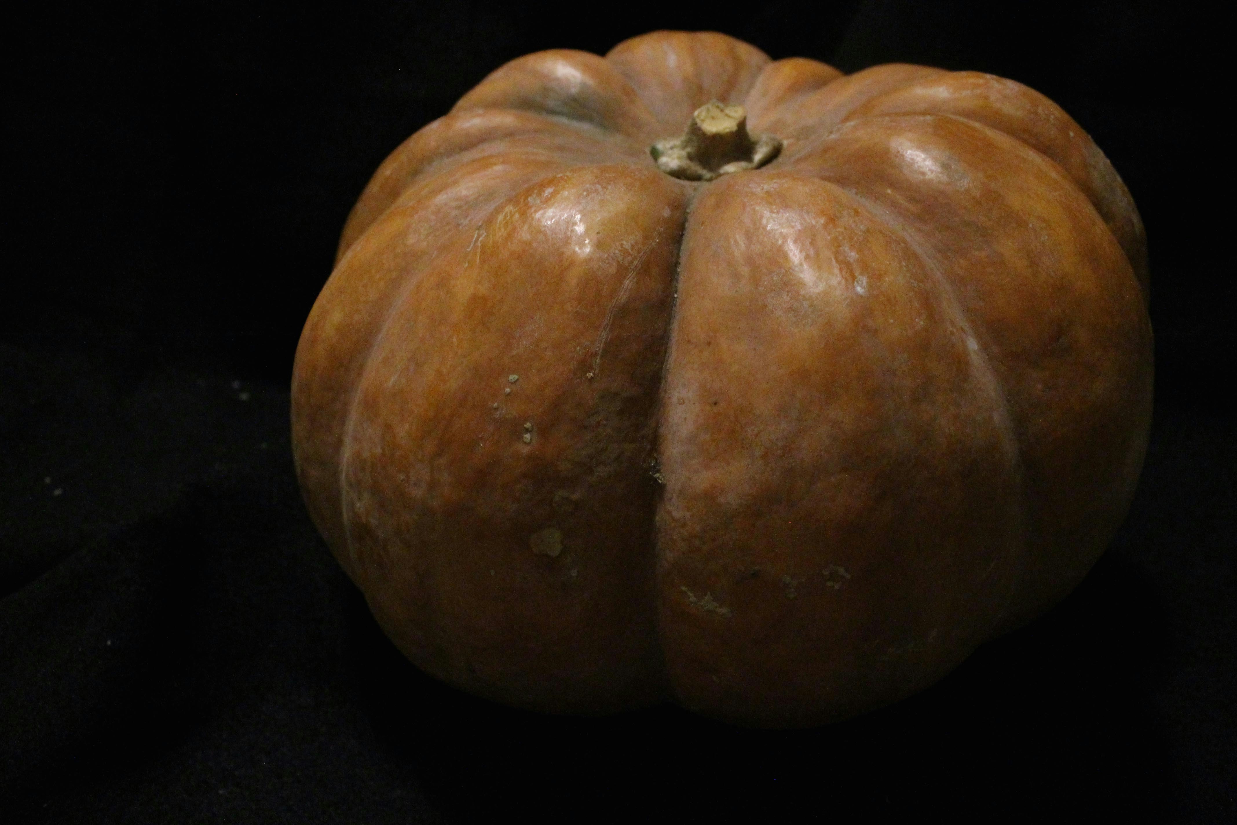 una zucca marrone seduta sopra una superficie nera