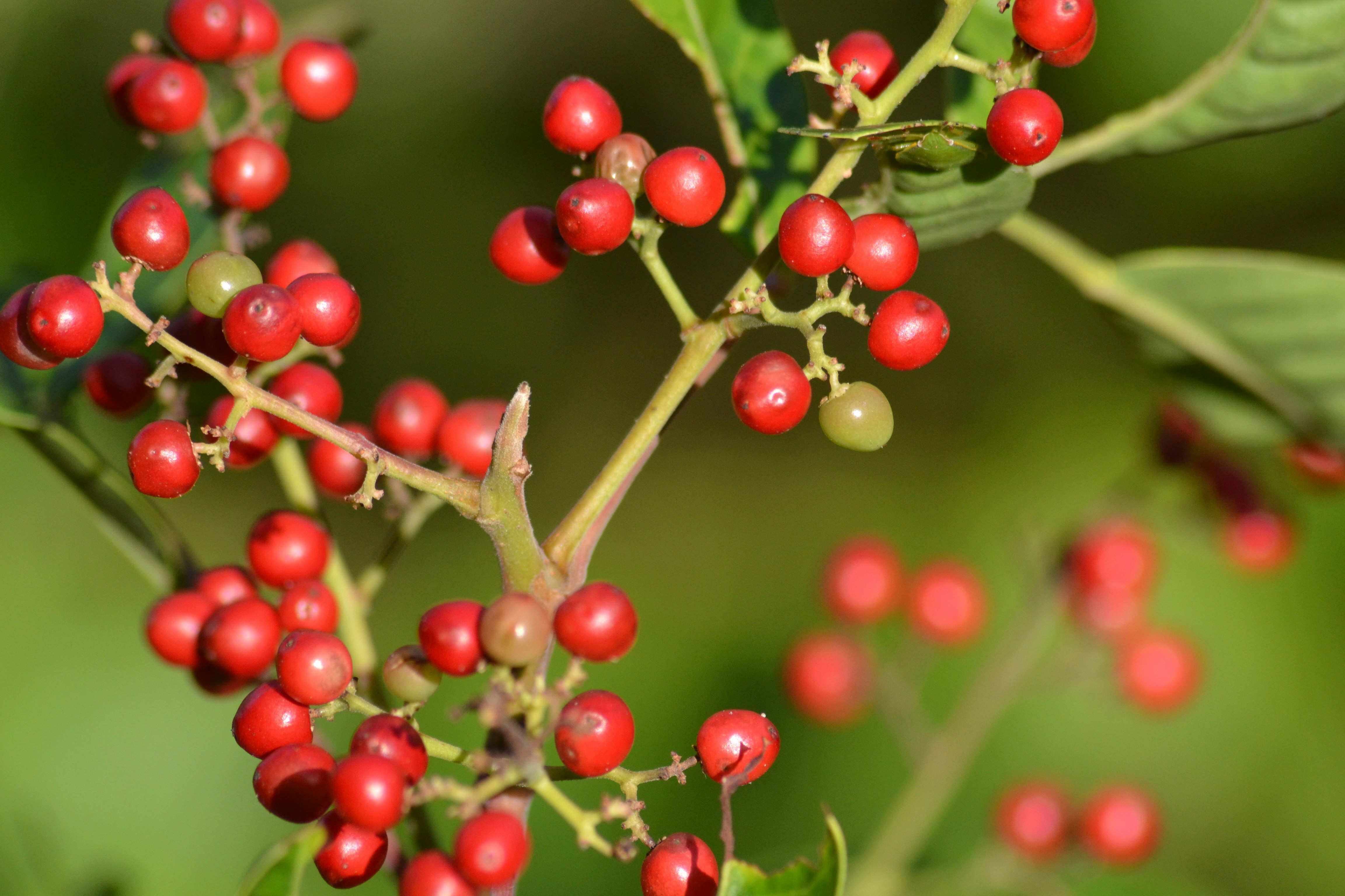 Photo by randomthinking