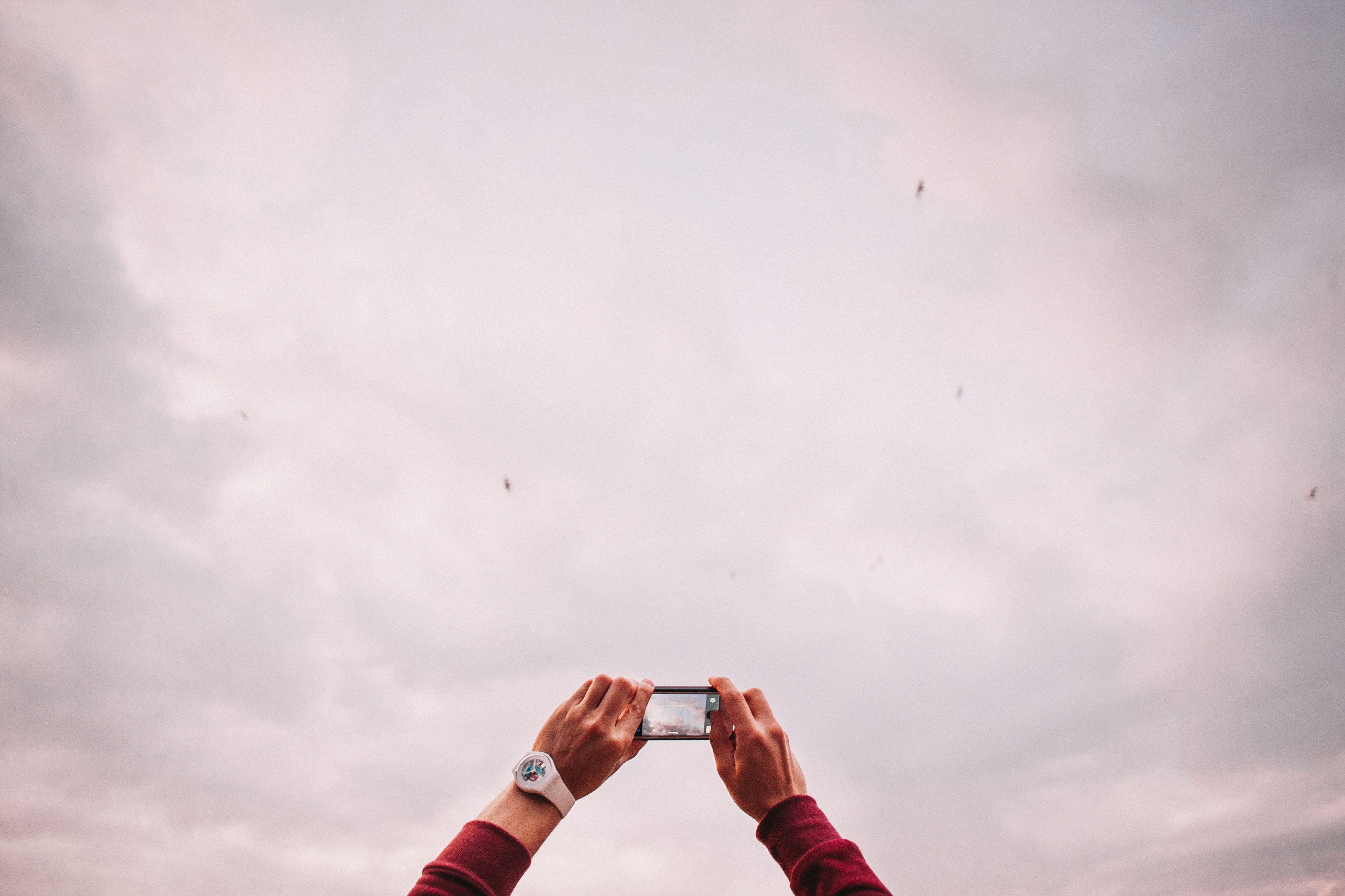 Photo by iskra_photography