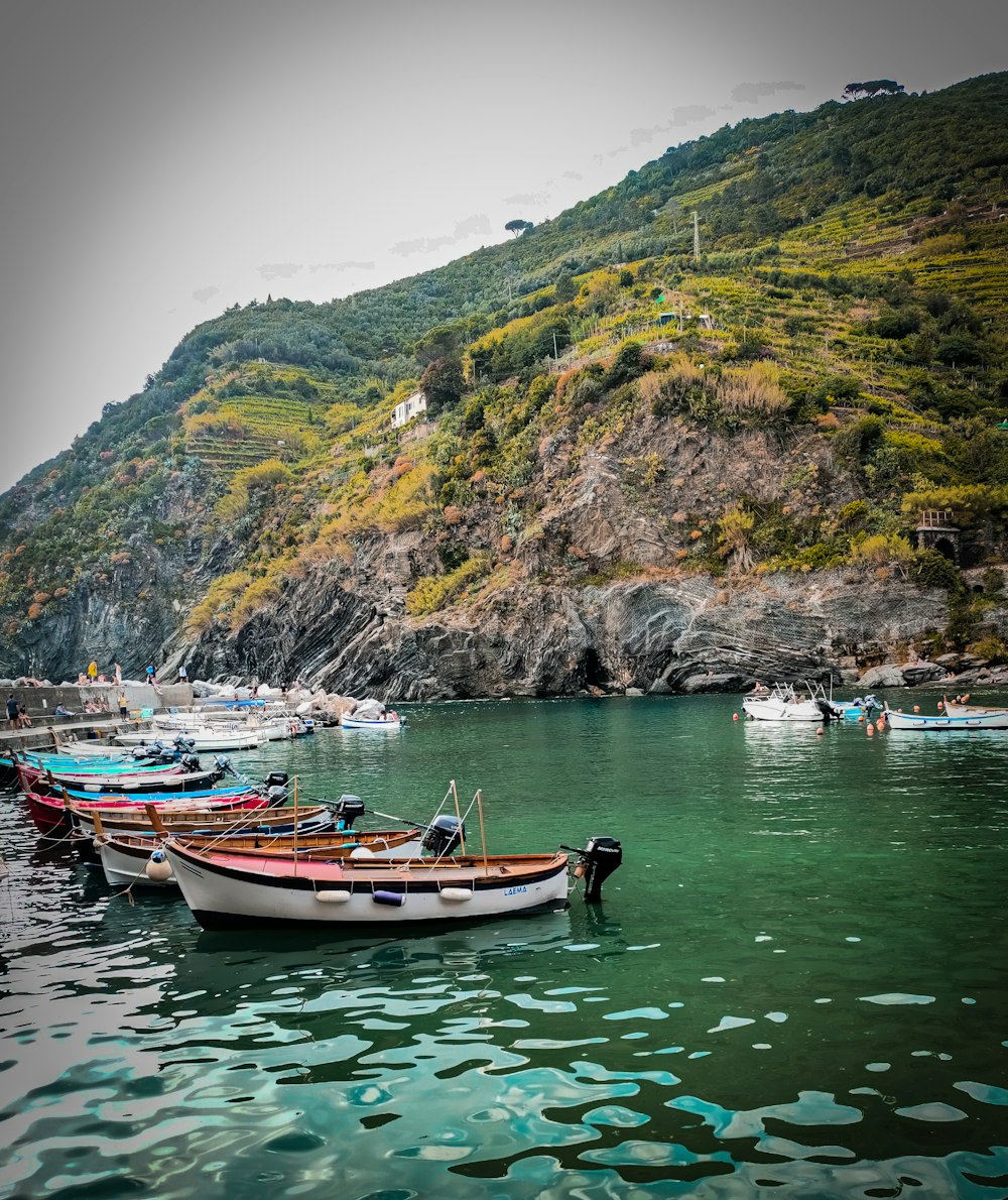 a group of boats floating on top of a body of water