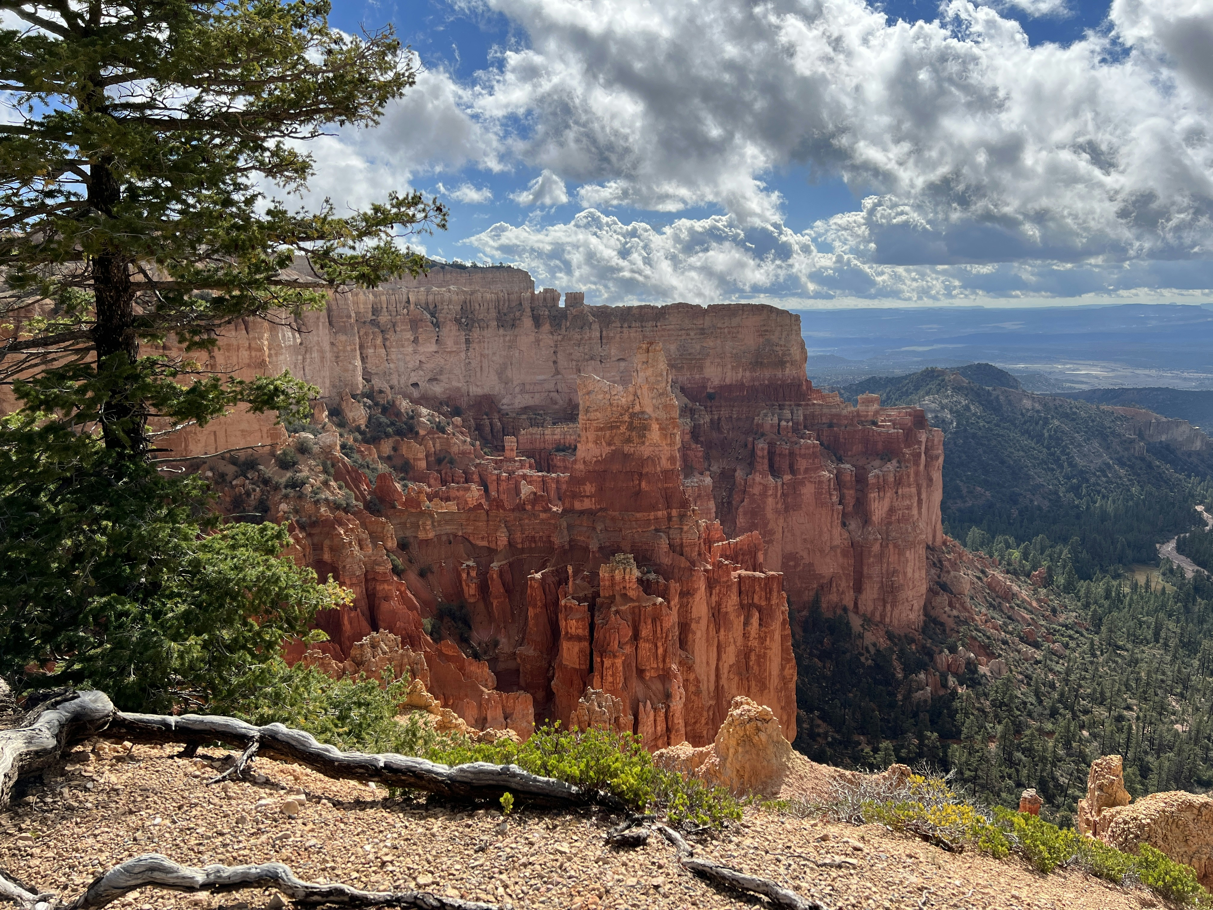 a scenic view of a valley and mountains