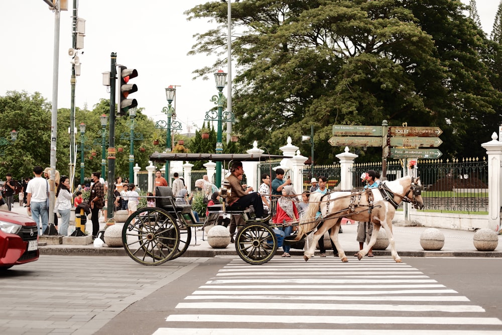 a horse drawn carriage on a city street