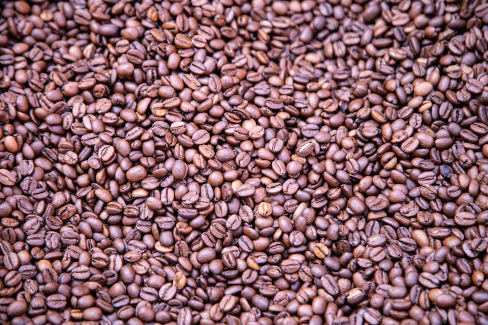 a pile of coffee beans is shown here