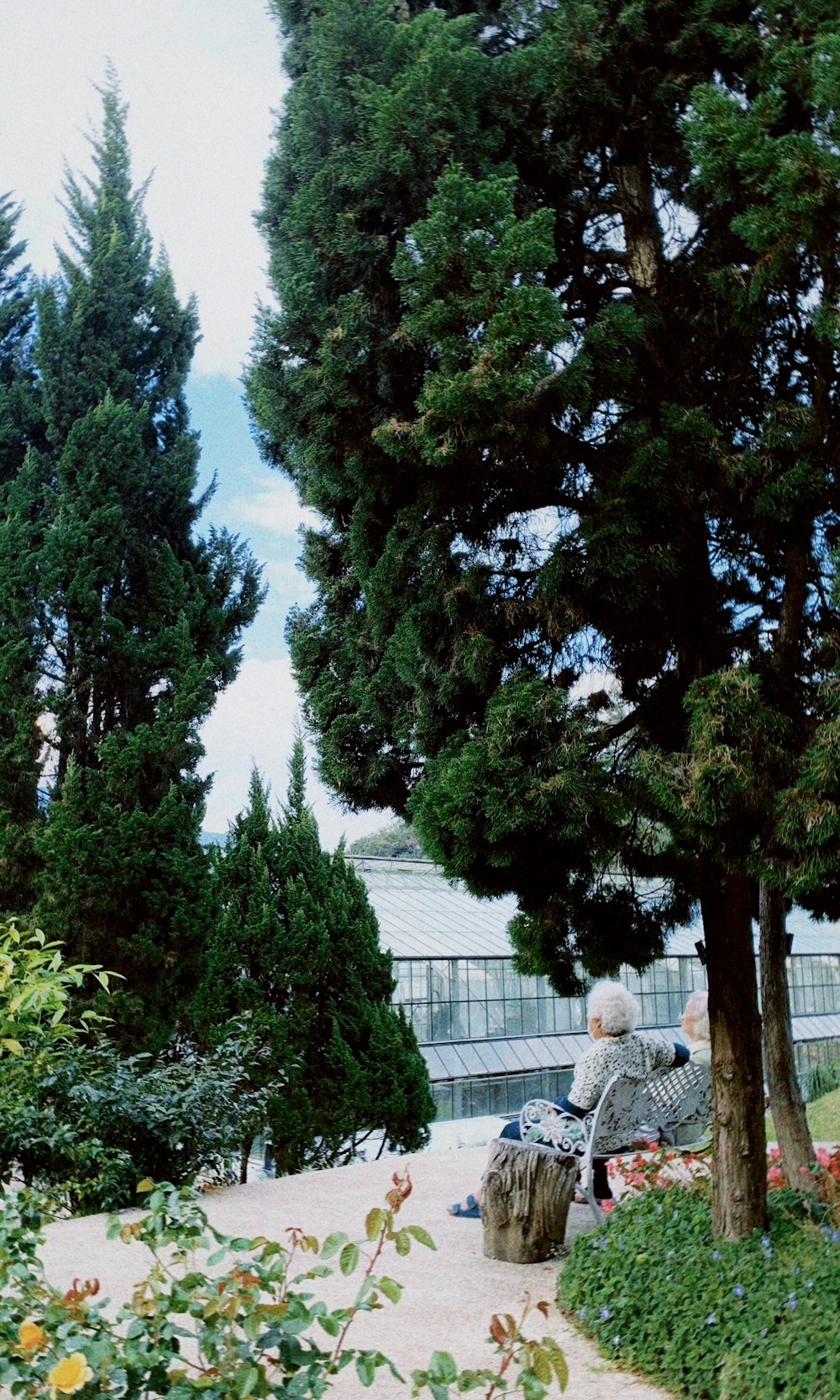 a woman sitting on a bench next to a tree