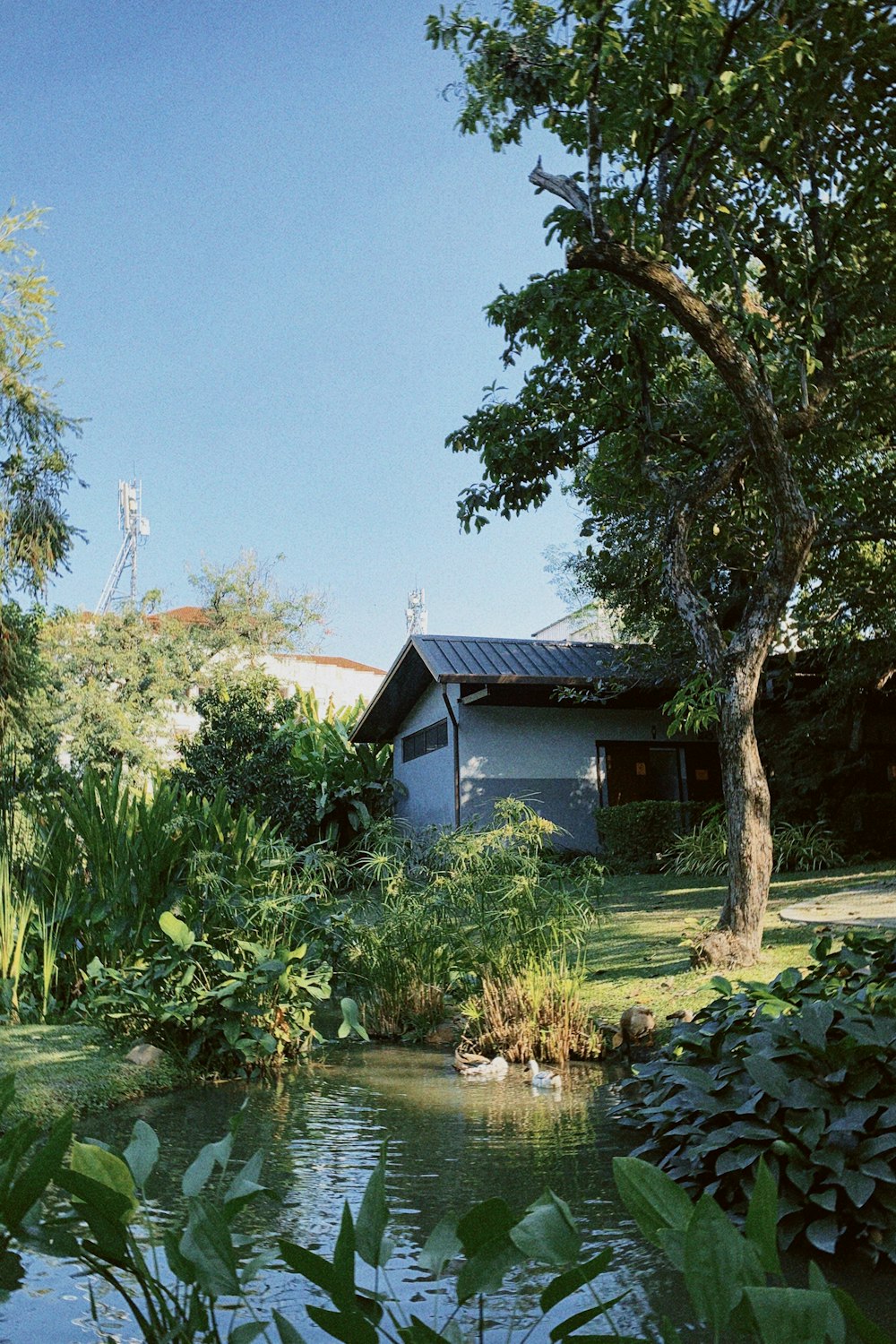 a pond in front of a house surrounded by trees