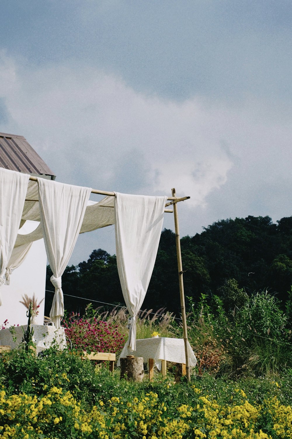 a bed with a canopy in the middle of a field