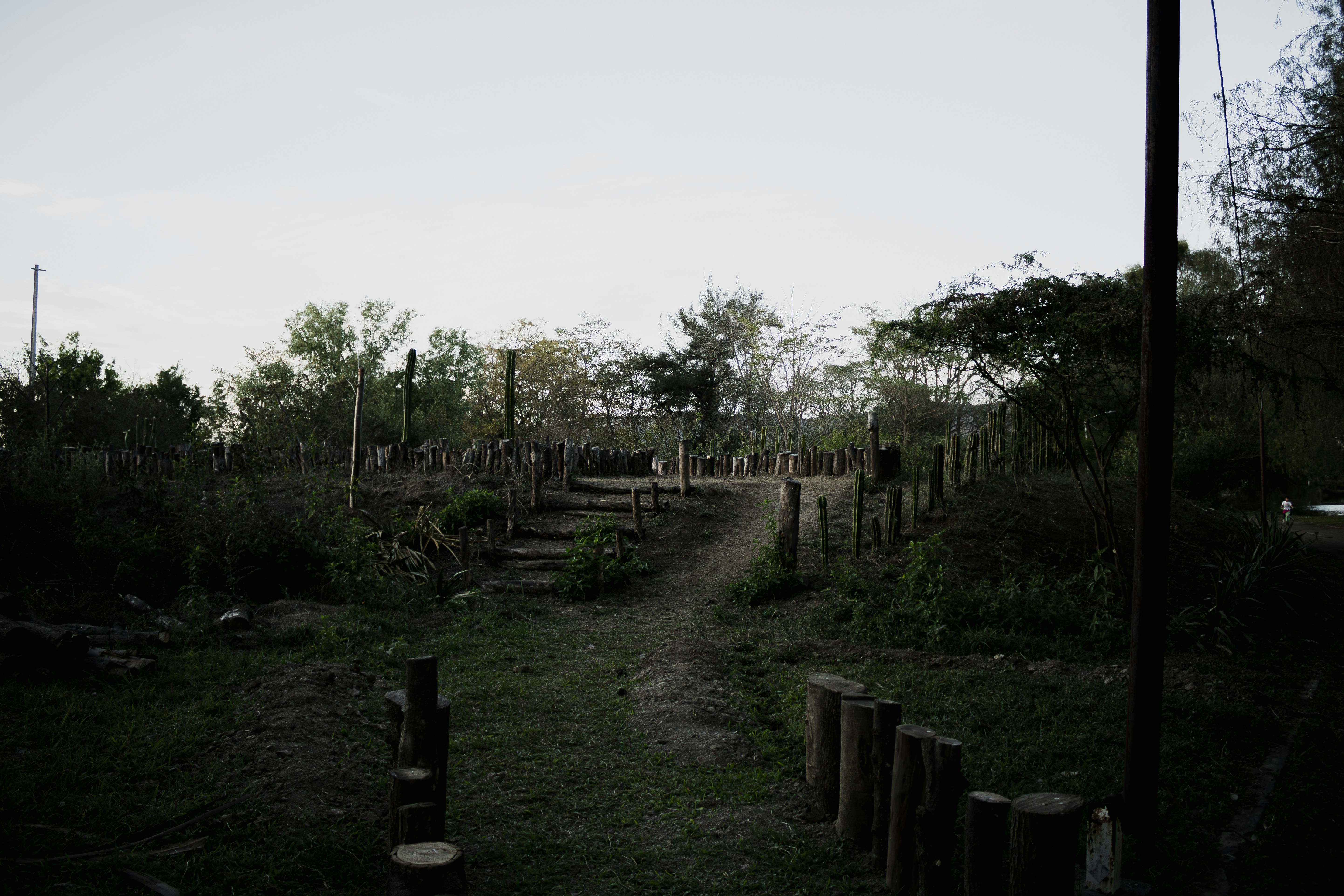 Photo by oscareduardohr