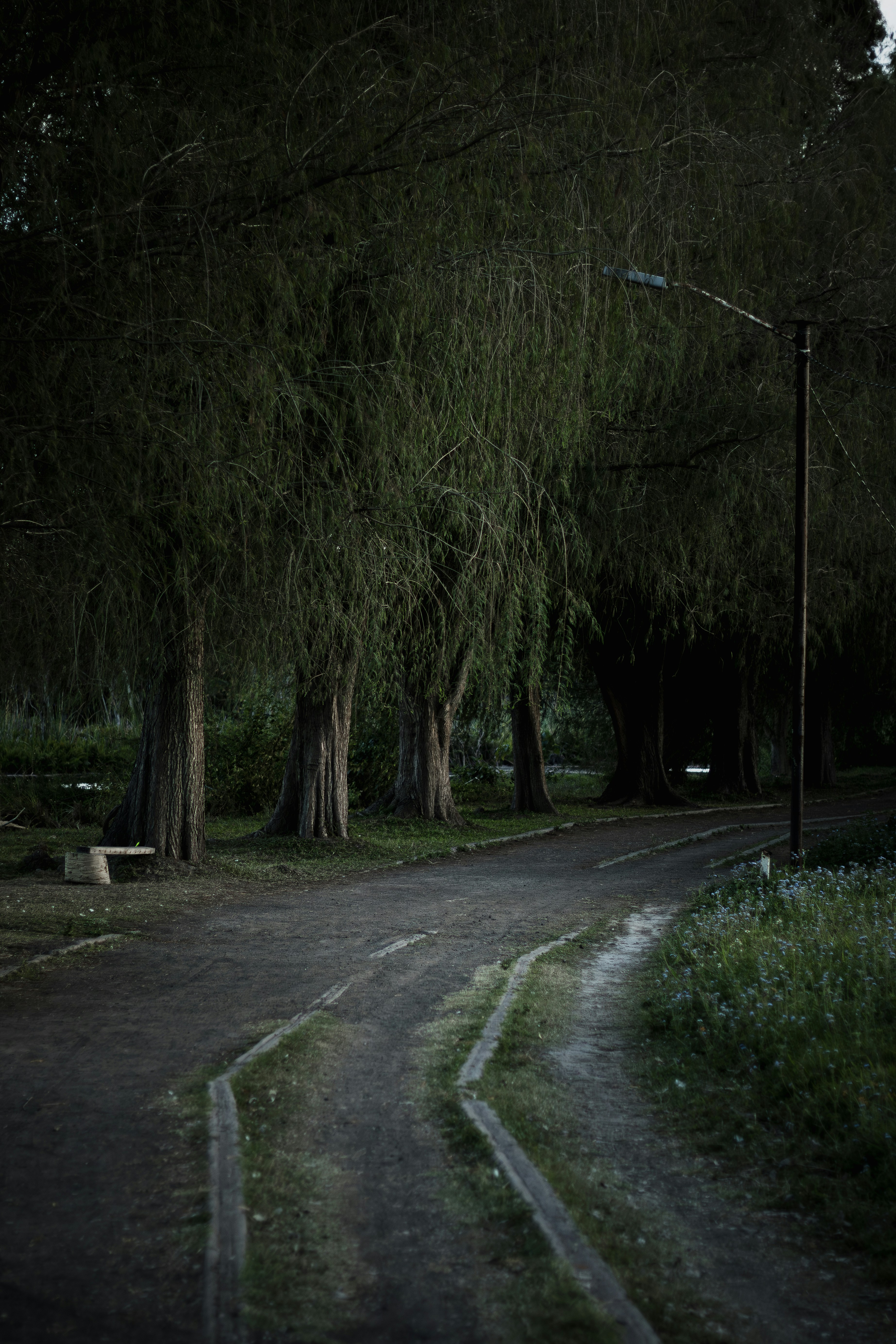 Photo by oscareduardohr