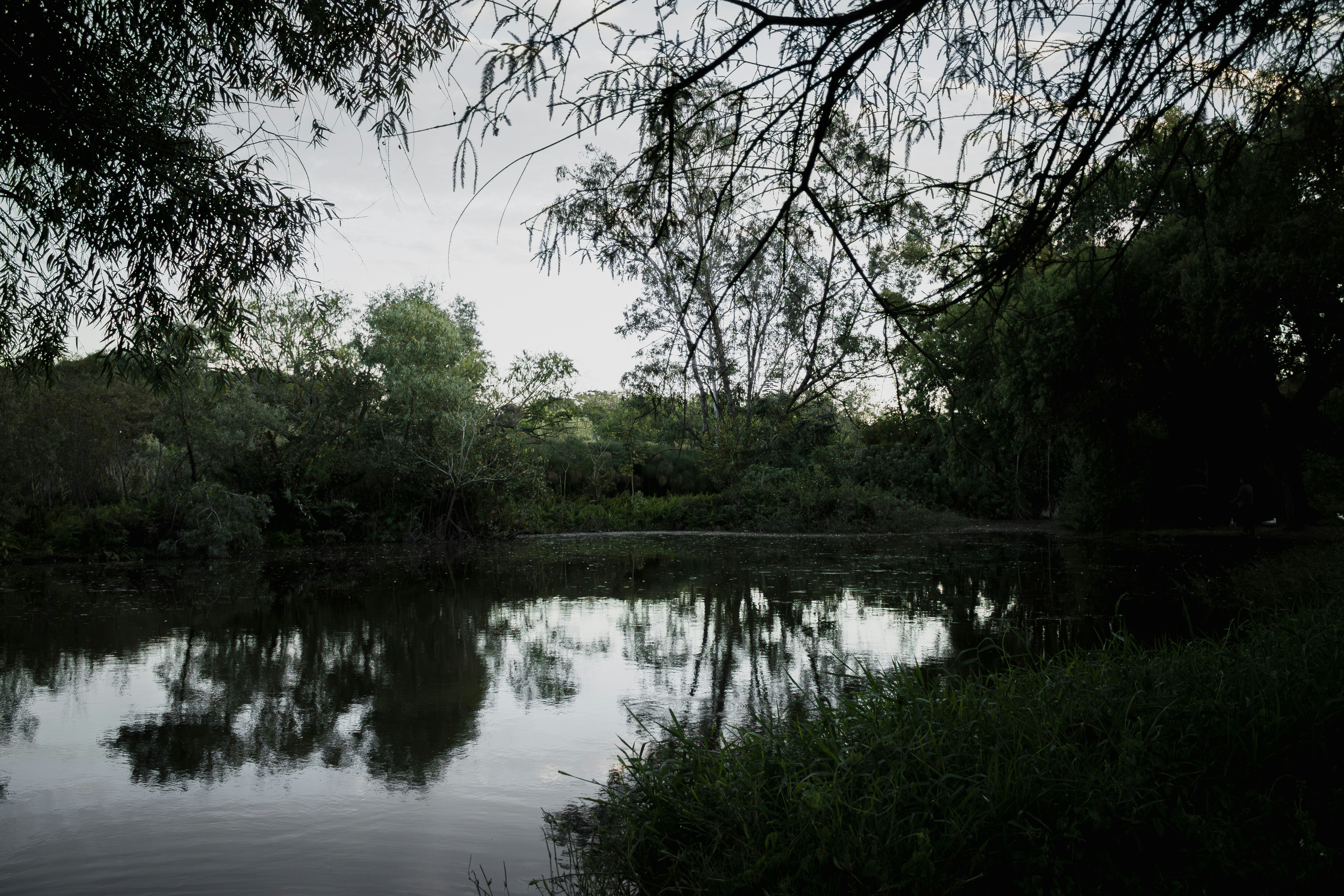 Photo by oscareduardohr