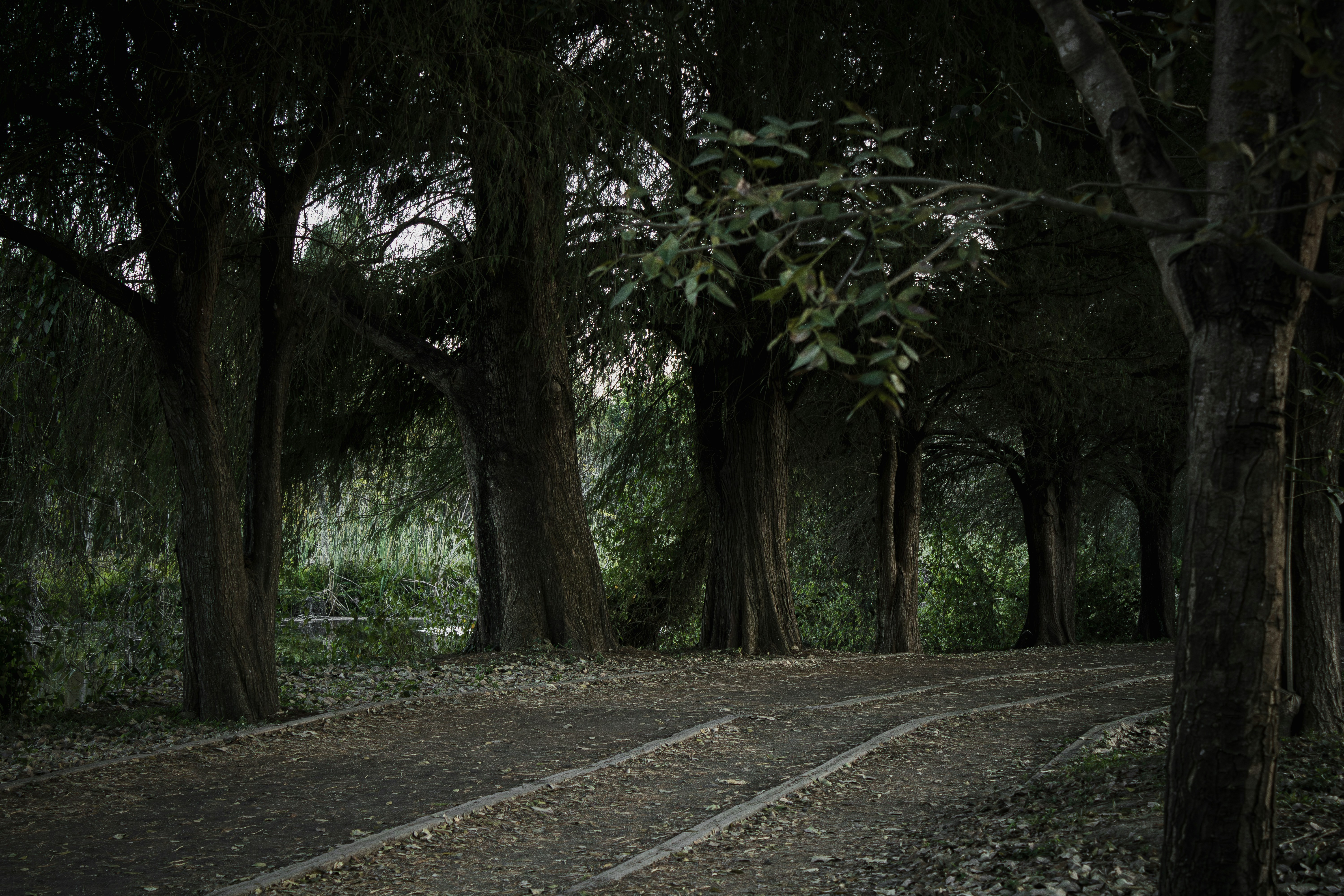 Photo by oscareduardohr