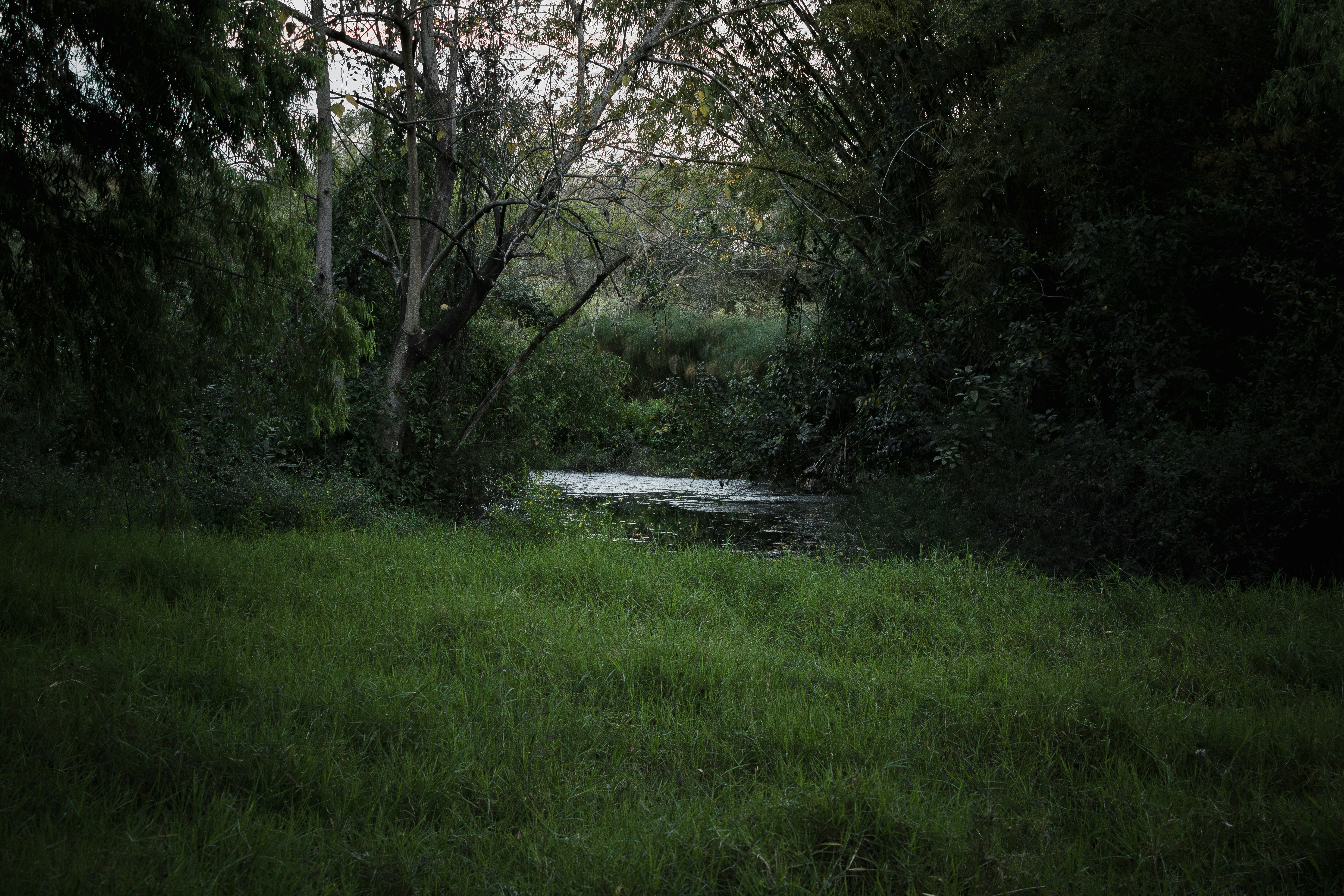 Photo by oscareduardohr