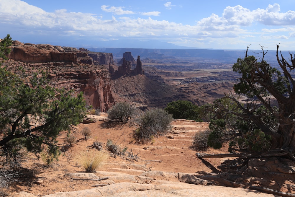 a scenic view of a canyon in the desert