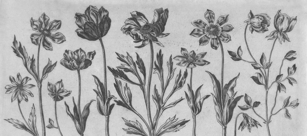 a drawing of a bunch of flowers on a sheet of paper