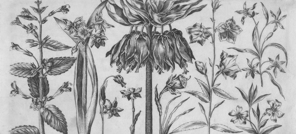 a drawing of flowers and leaves on a sheet of paper
