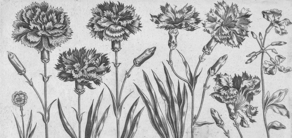 a drawing of a bunch of flowers in a field