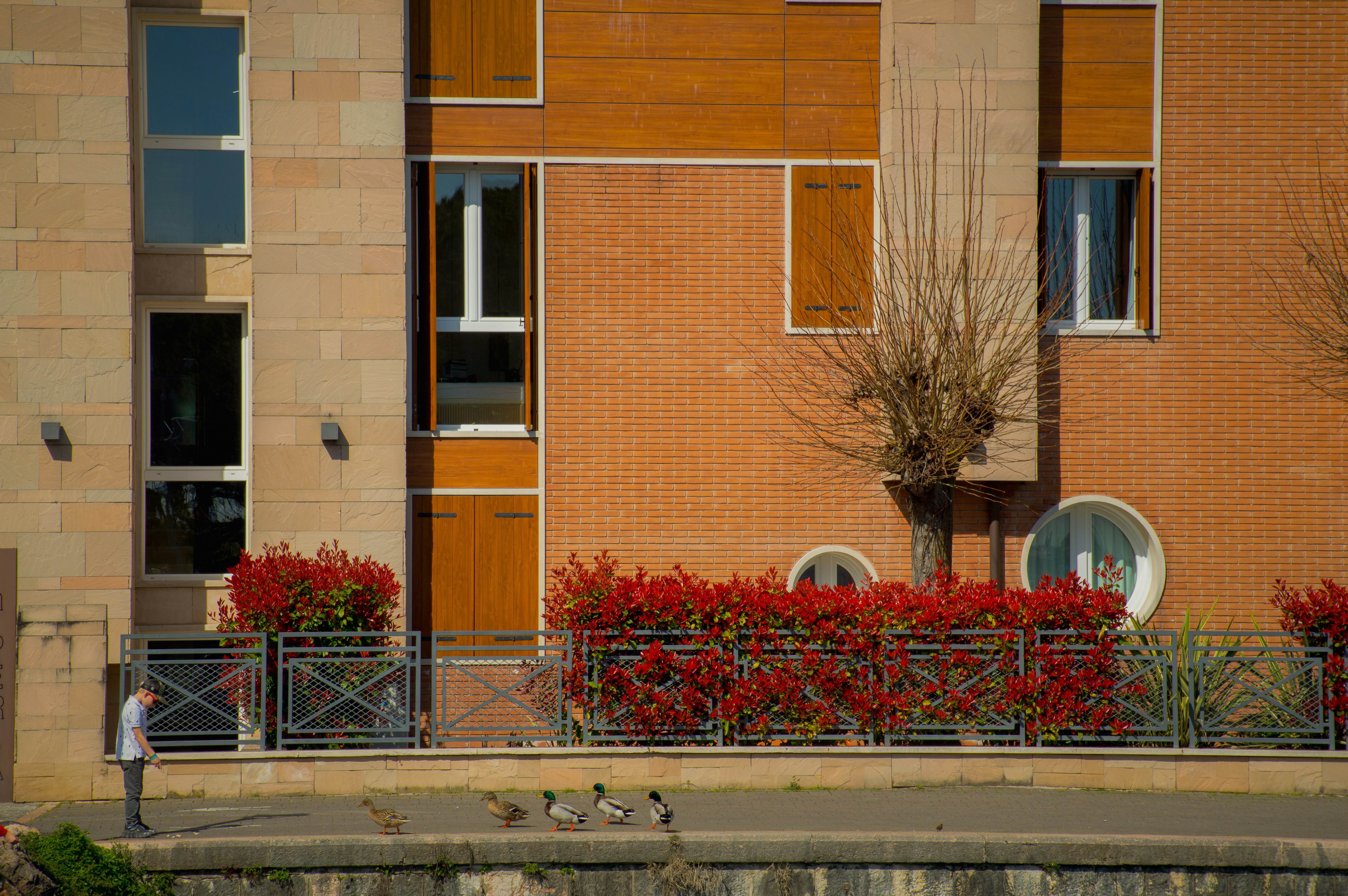 Photo by lorenzosardelli