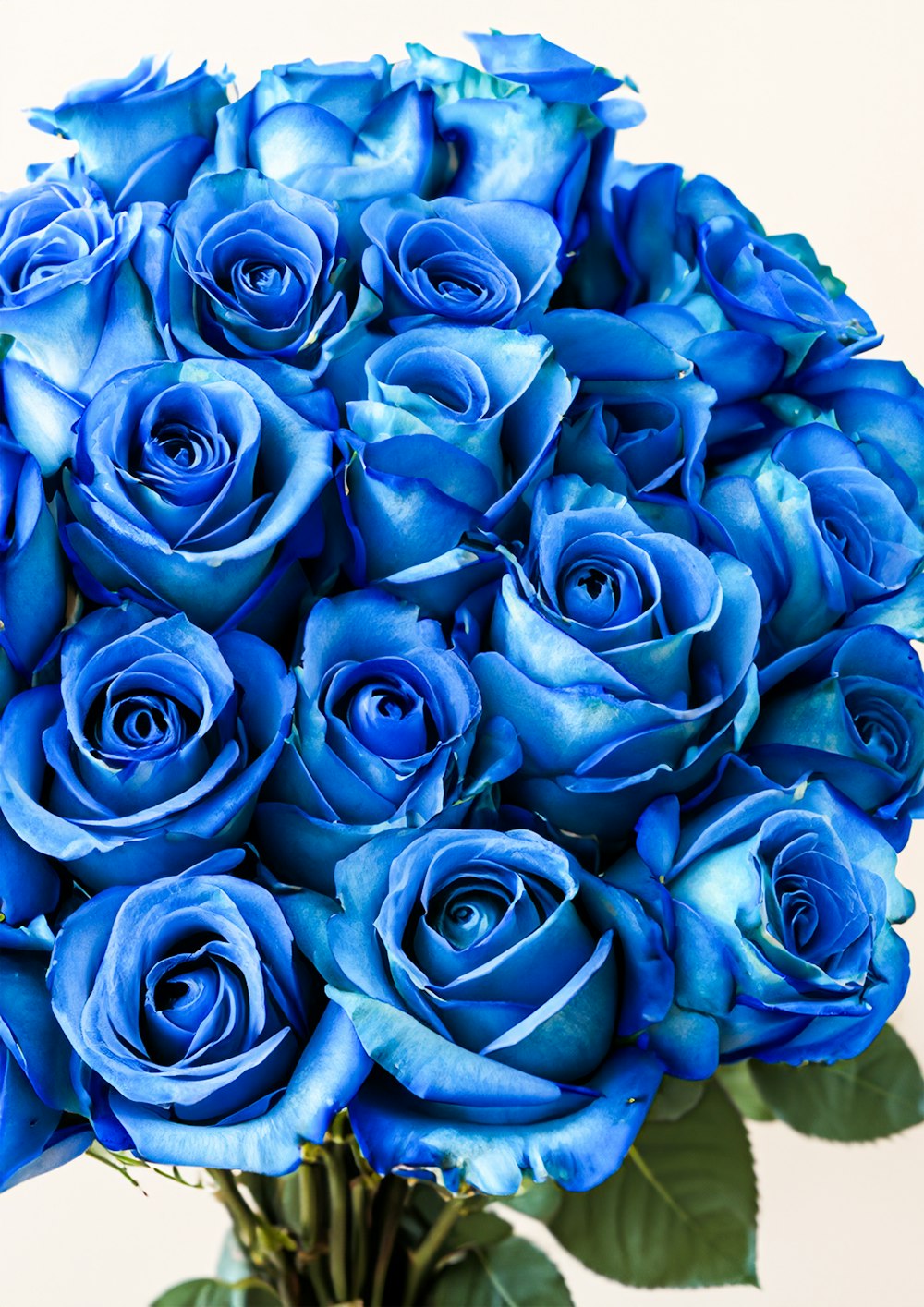a bouquet of blue roses in a vase