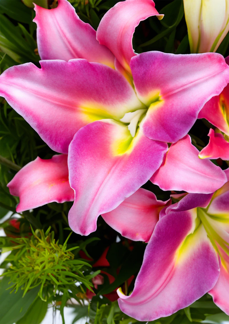 Lily Bouquet