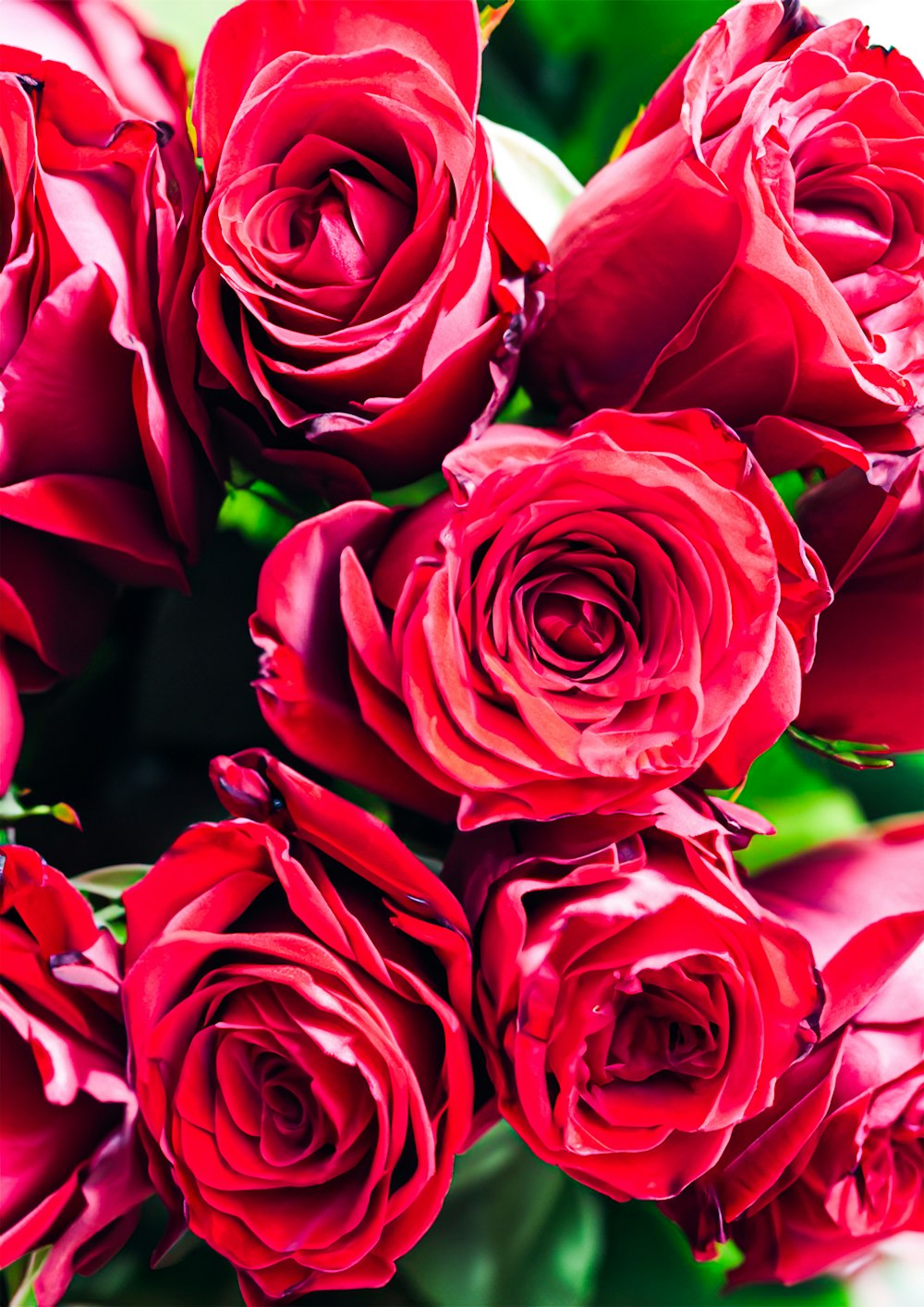 a bouquet of red roses with green leaves