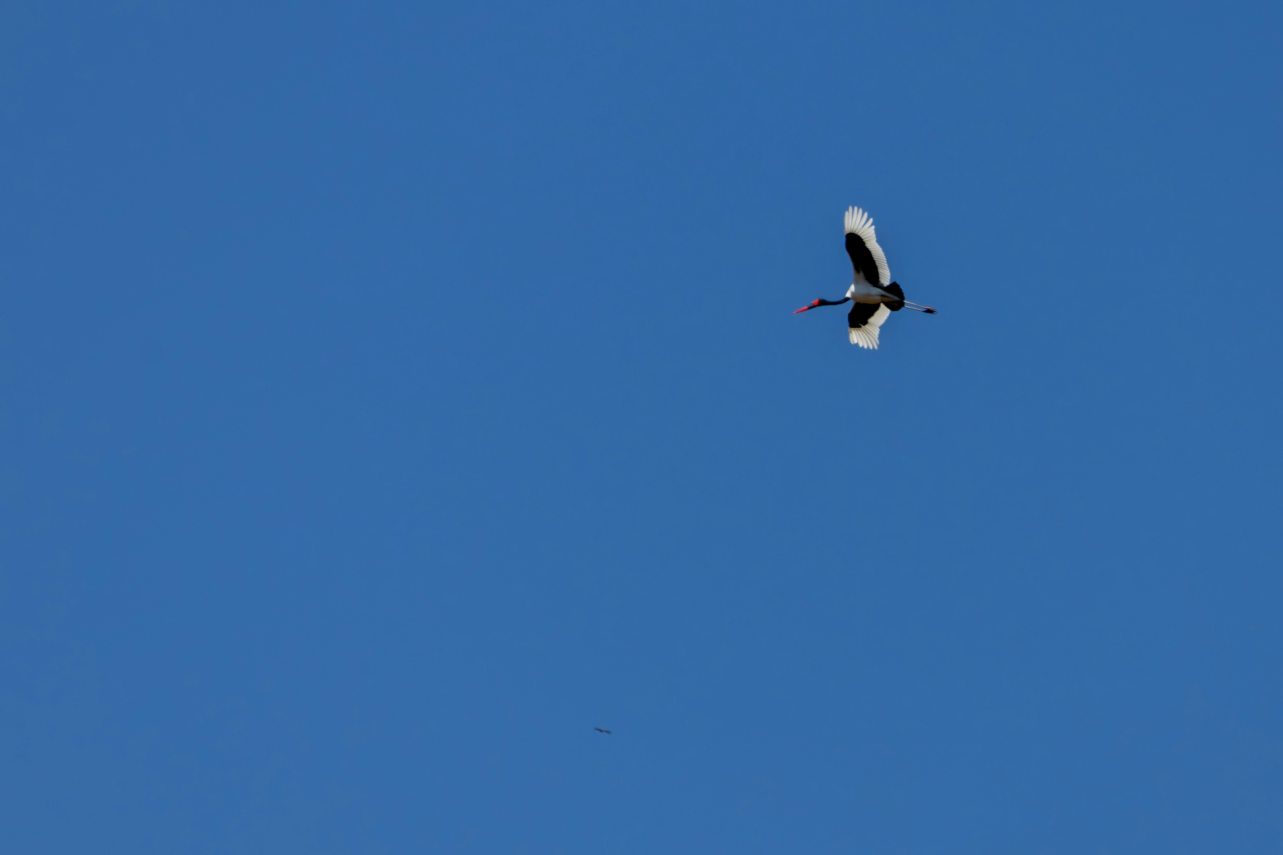 Photo by hendrikprinsza