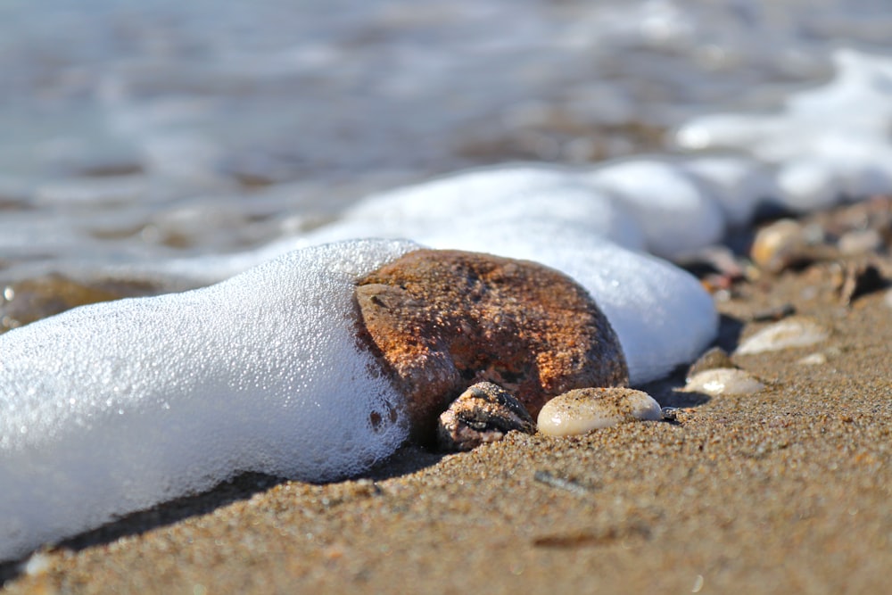 a close up of a rock on a beach covered in snow