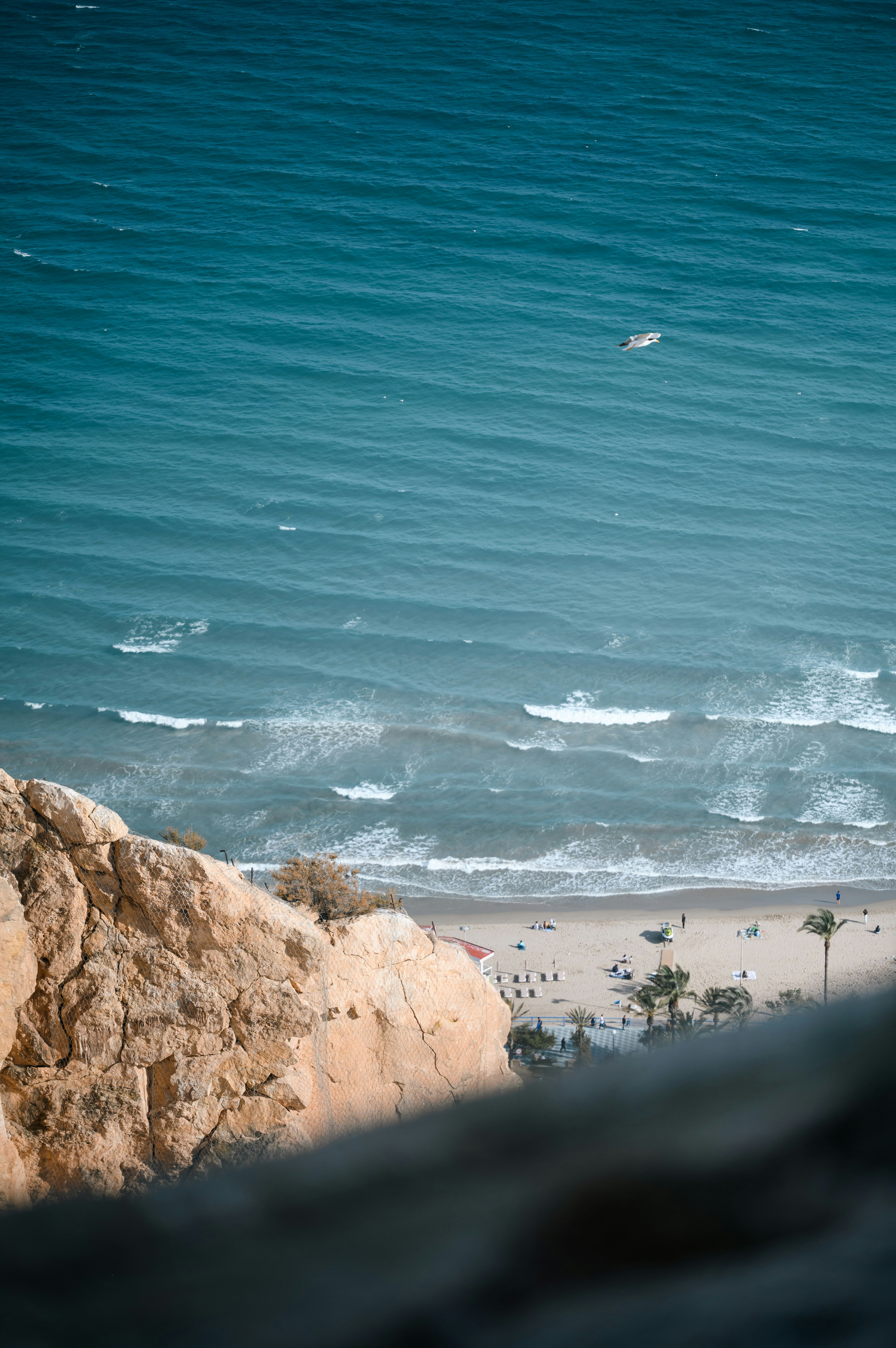 Coastal scene with turquoise sea meeting a sandy beach, framed by rugged cliff in the foreground and a lone seabird skimming the water.