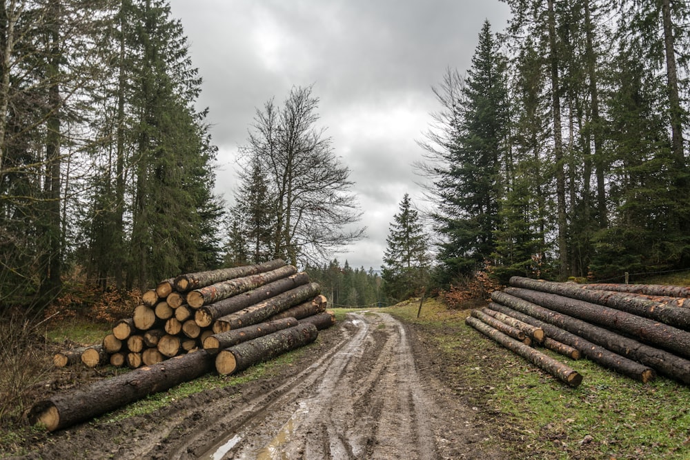 a bunch of logs sitting on the side of a dirt road